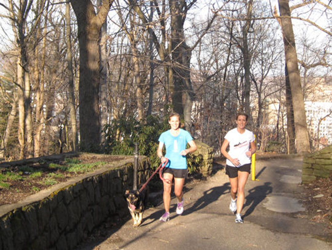 Joggers with dog near the top of the Trail