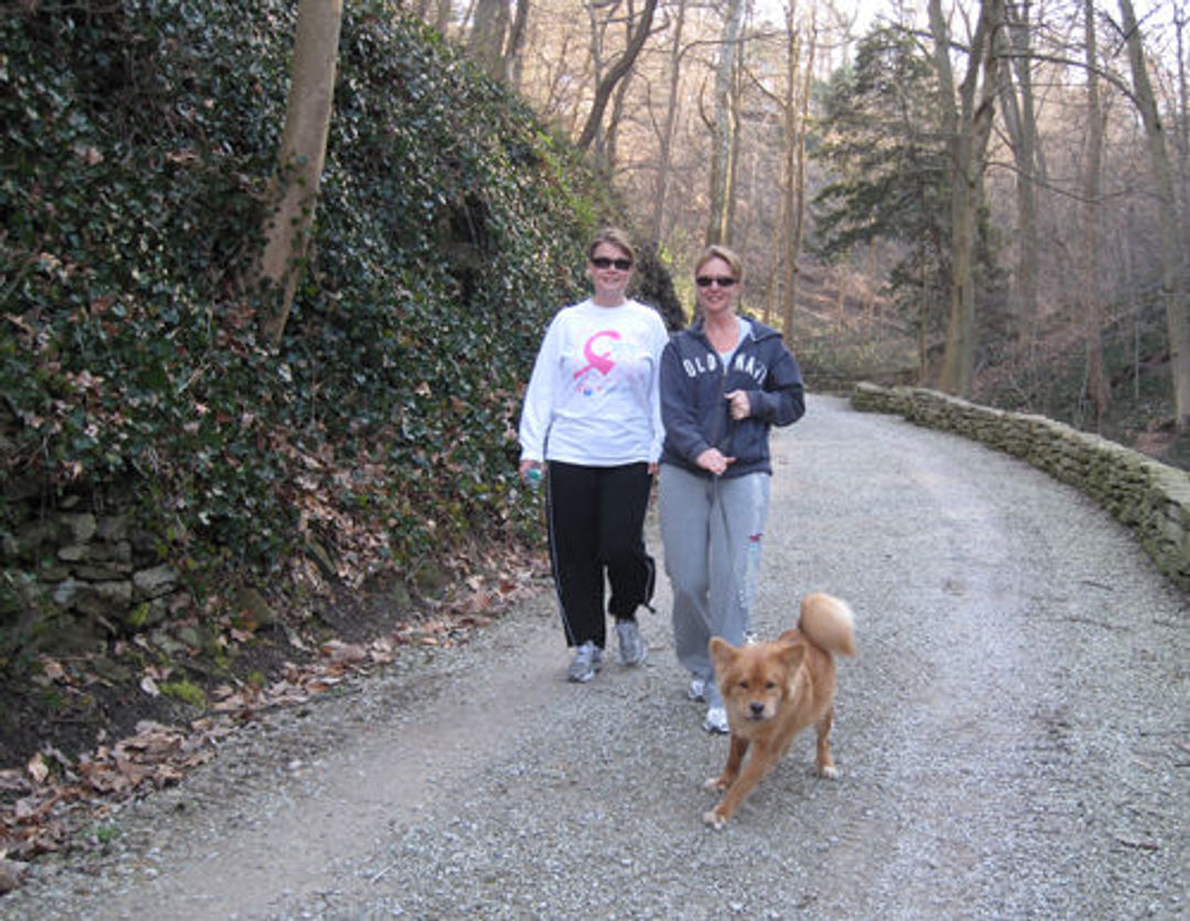 Even on a chilly February day, the Trail is busy.