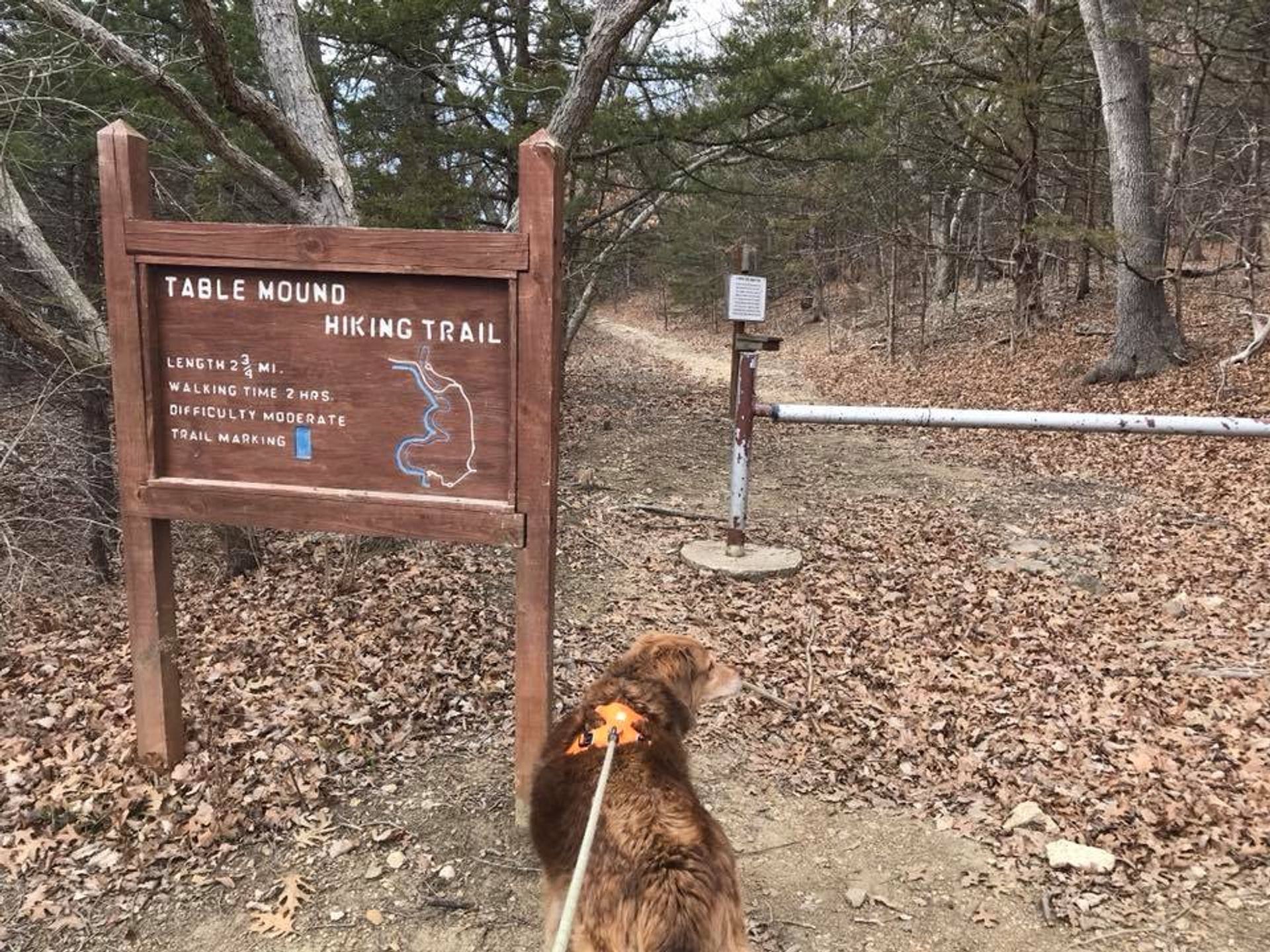 Fritz ready to explore the trail. Photo by Mindy Pribbernow Eaton.