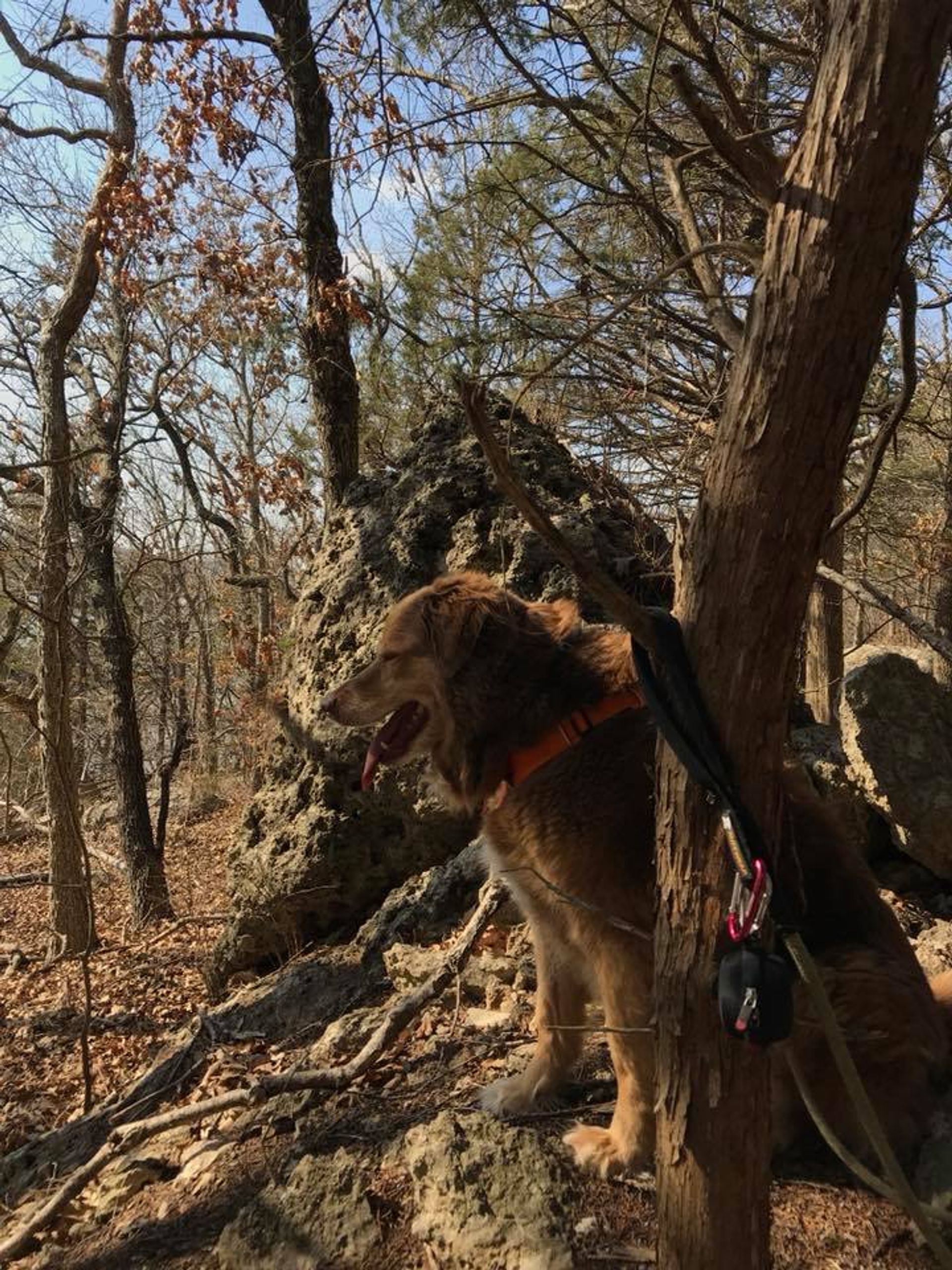 Trail watch. Photo by Mindy Pribbernow Eaton.