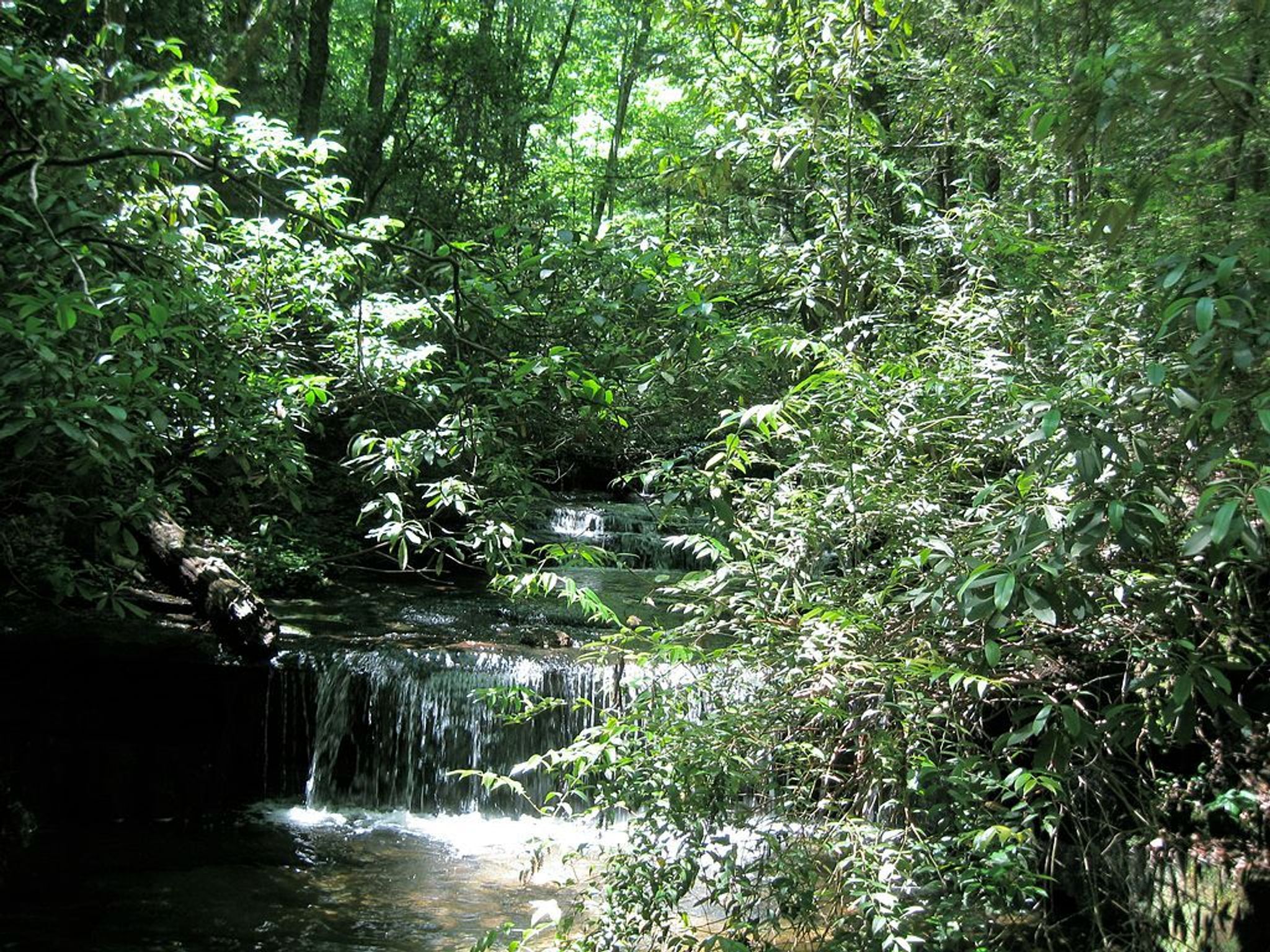 A water fall on Carrick Creek Nature Trail, Table Rock State Park, South Carolina. Photo by John Foxe.