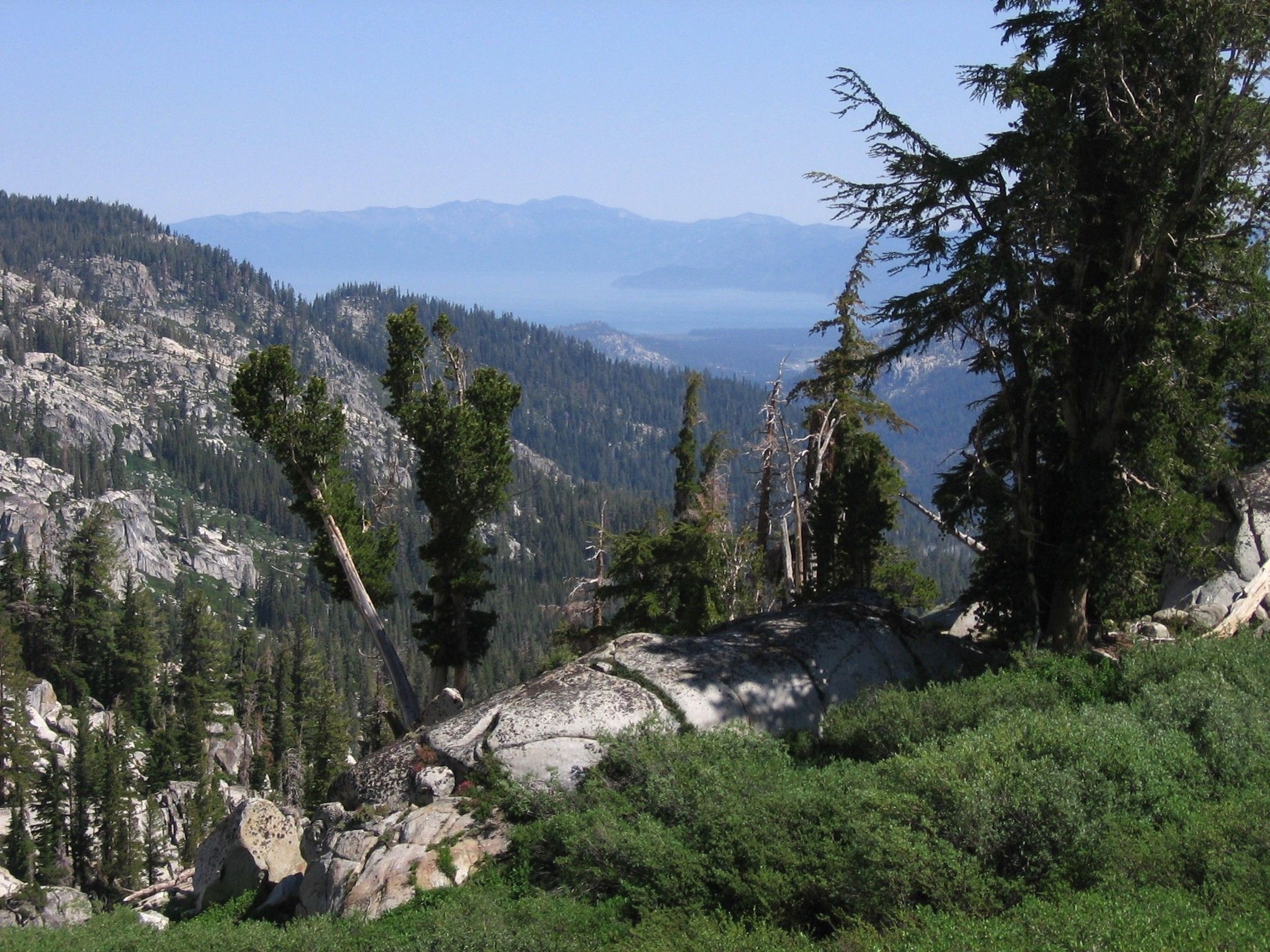 View of Lake Tahoe from the Tahoe Rim Trail near Showers Lakes. Photo by wiki.