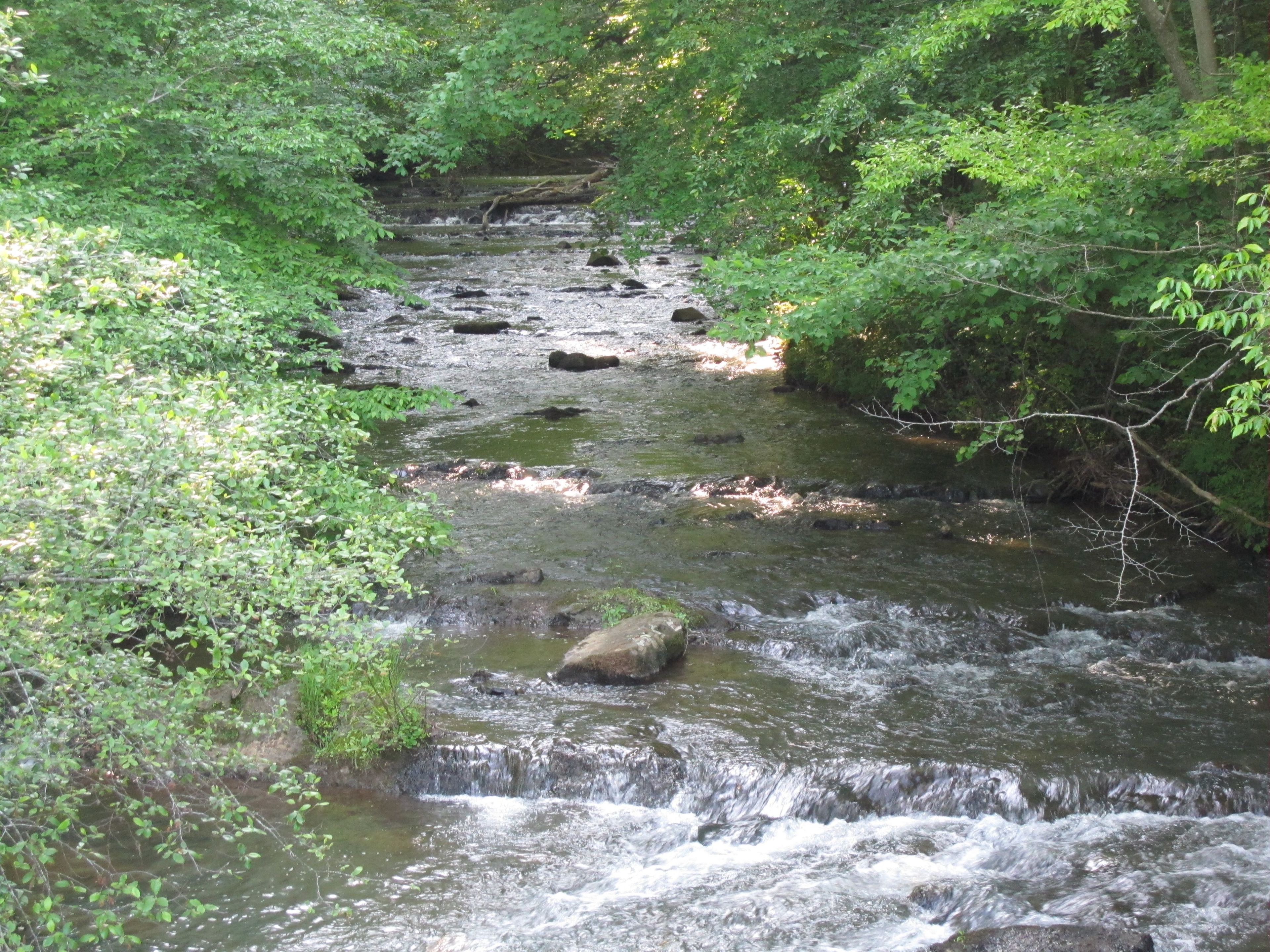 Tannehill Tramway Trail