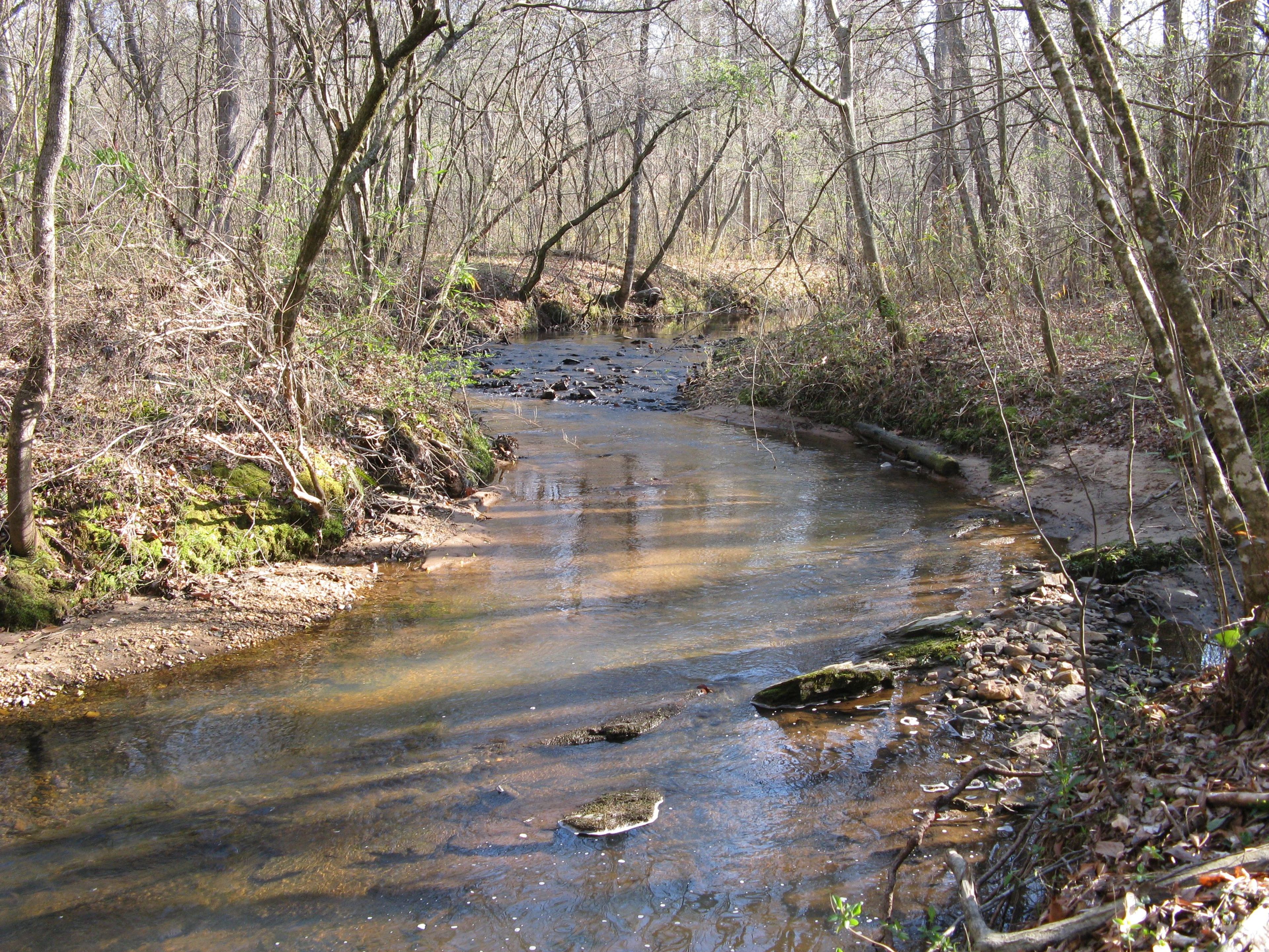 Flowing Coon Creek