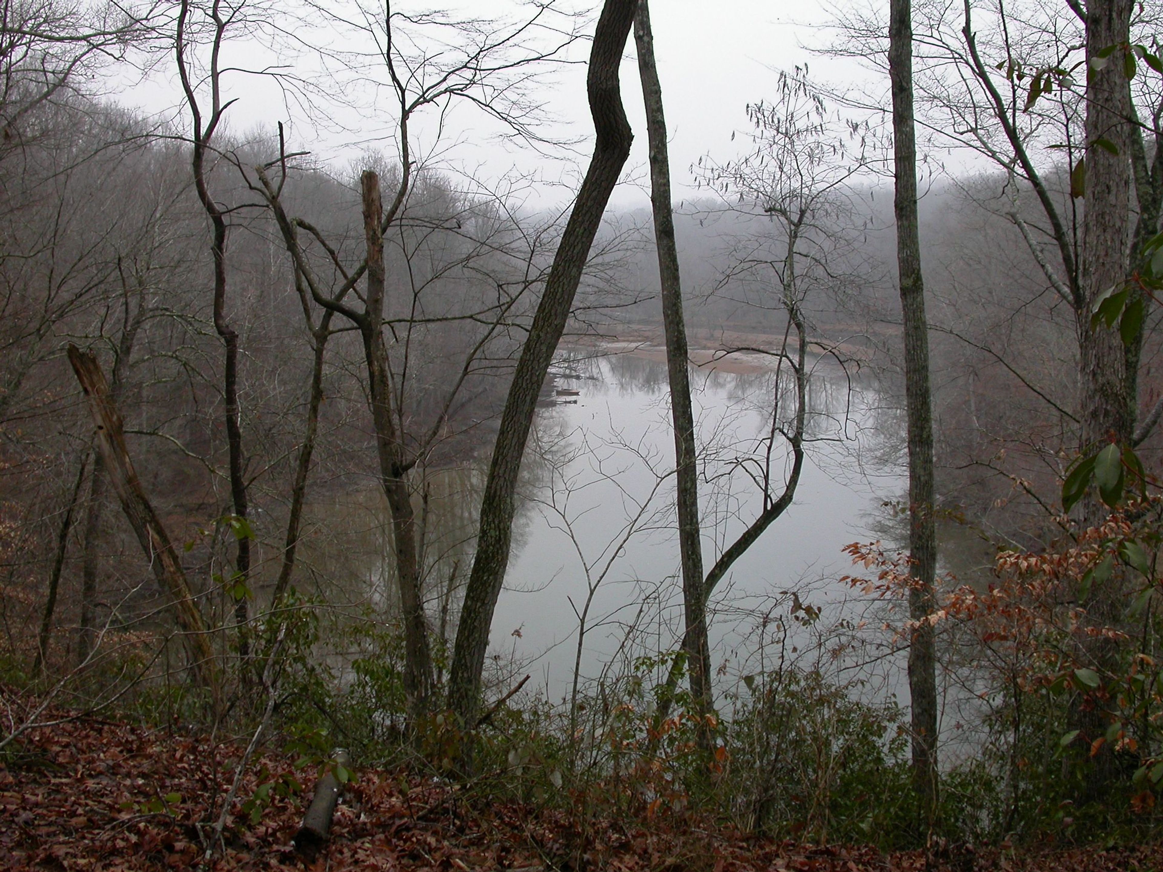 Bluff over looking Shoal Creek