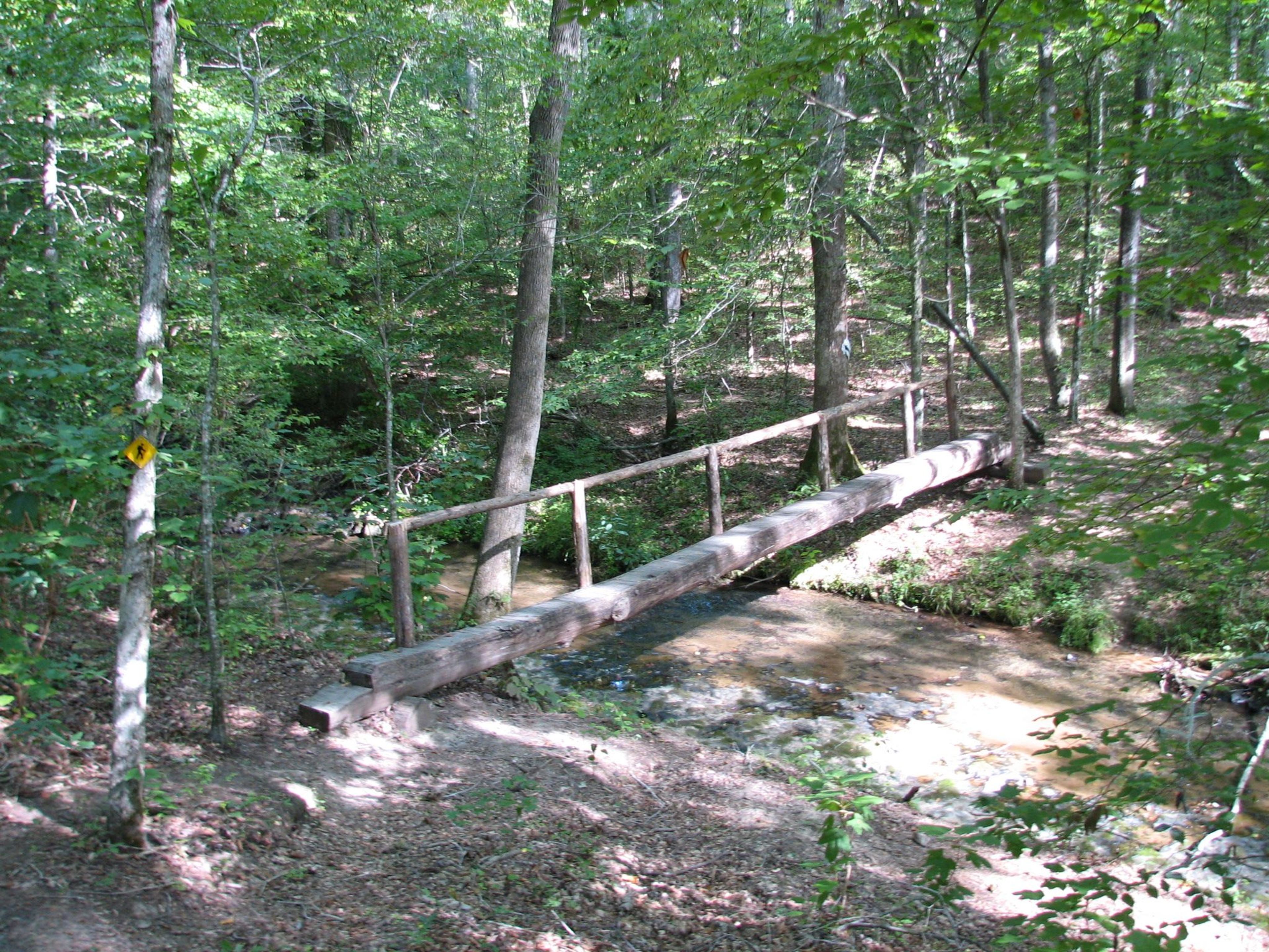 Footbridge over Lawson Branch