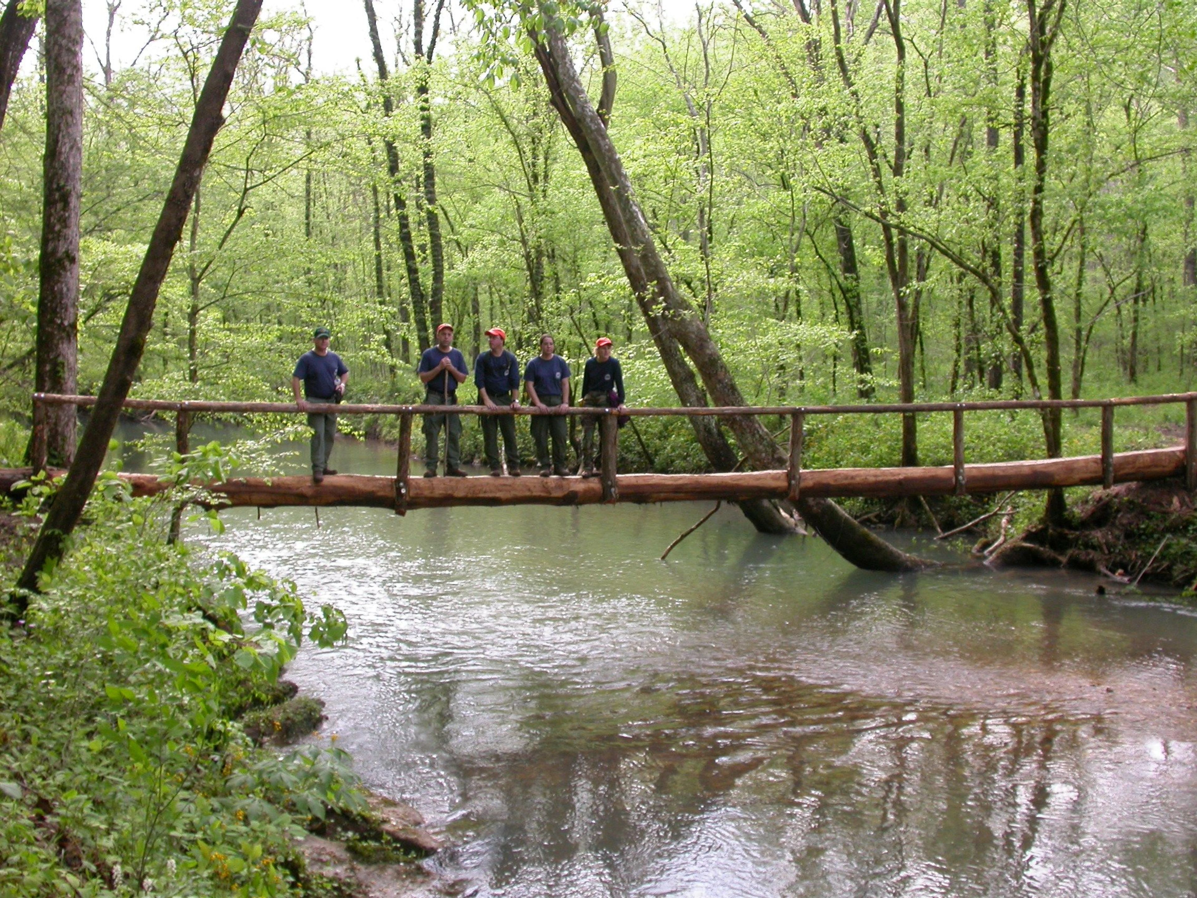 Footbridge over Hurricane Creek