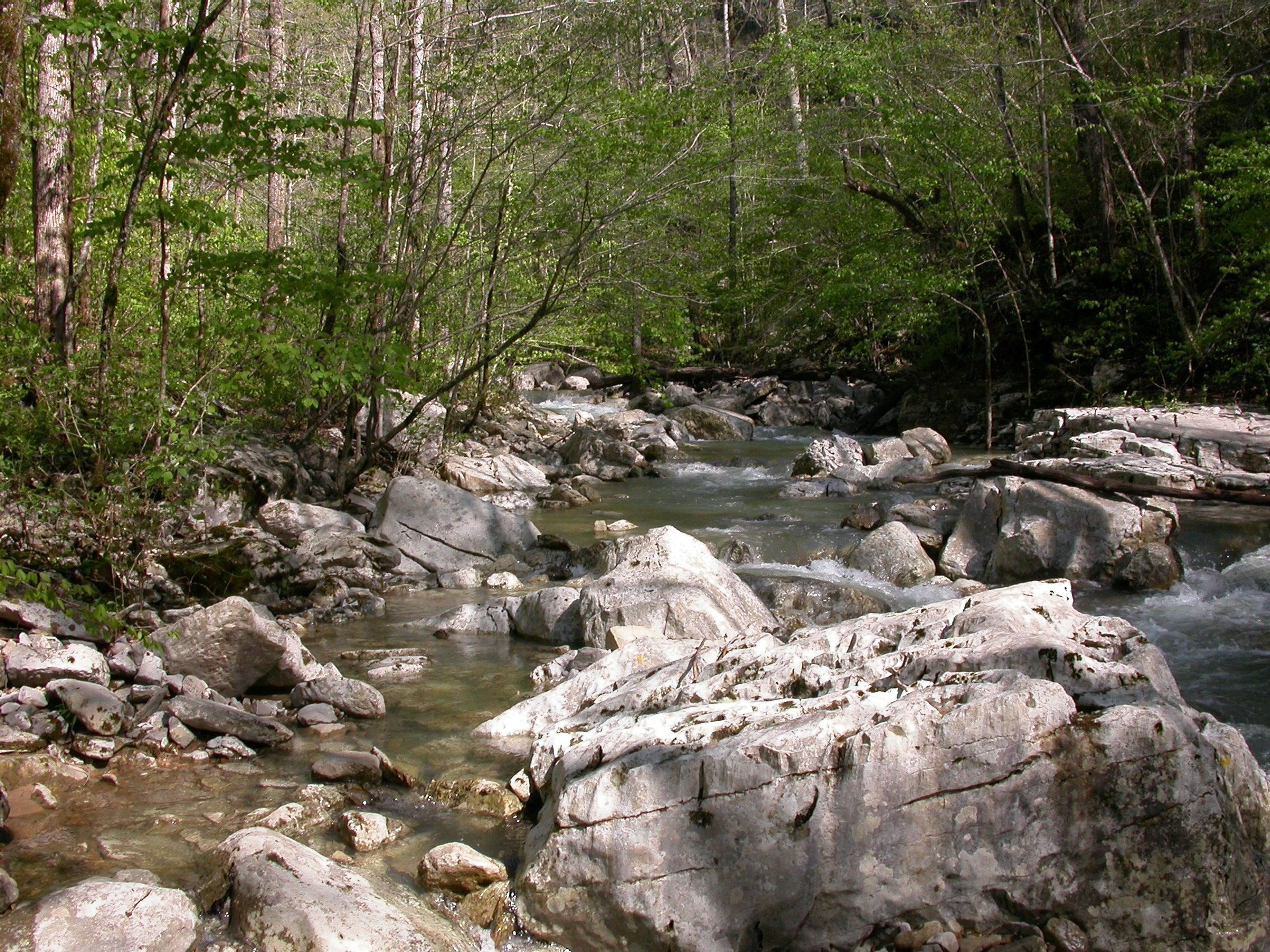 Lower Turkey Creek