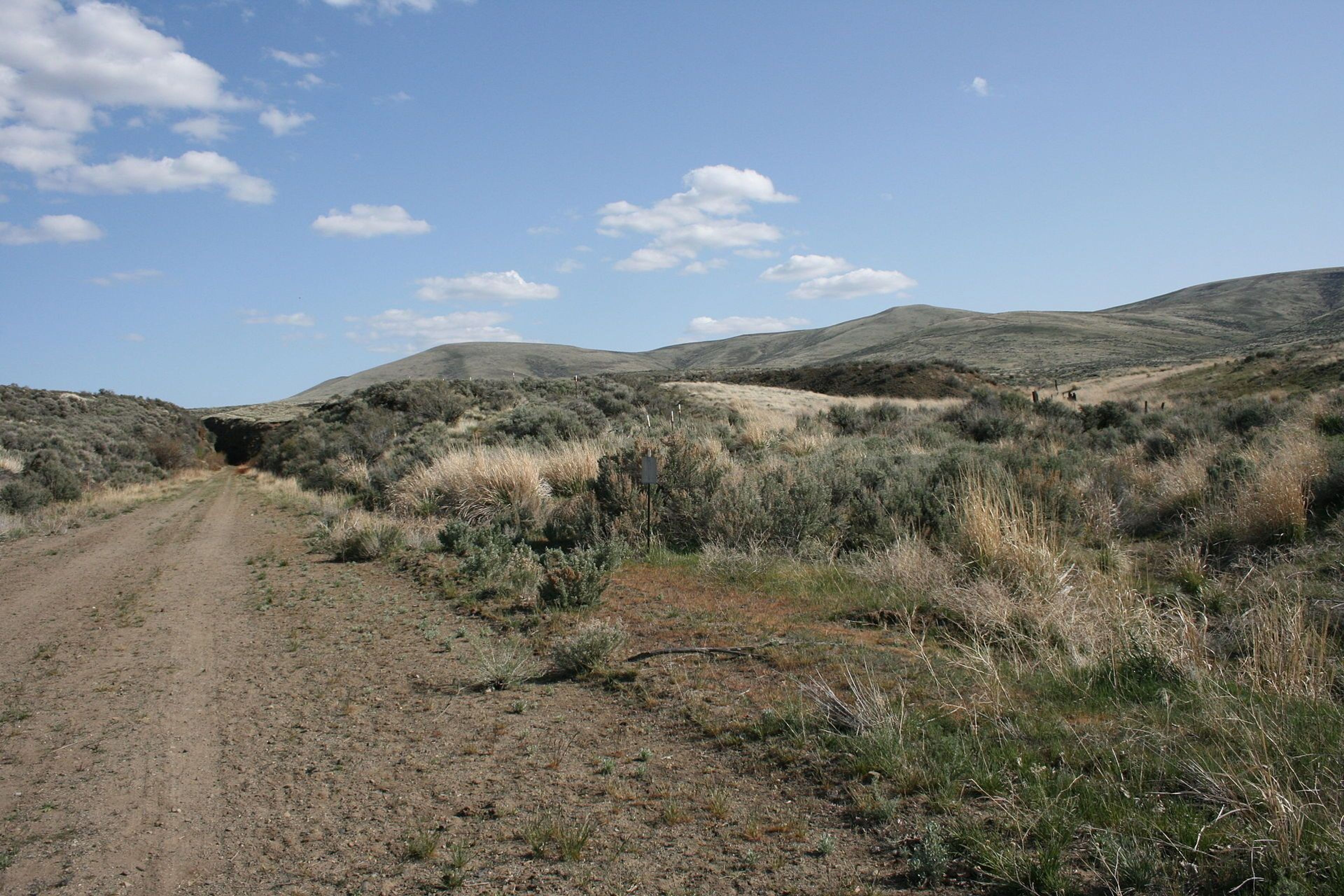 View of Saddle Mountains from the Palouse to Cascades State Park Trail. Photo by Williamborg/wiki.