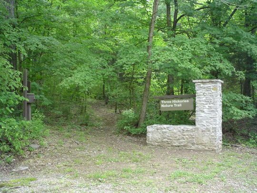 Trail entrance at Cook Day Use Area. Photo by Courtesy Recreation.gov.