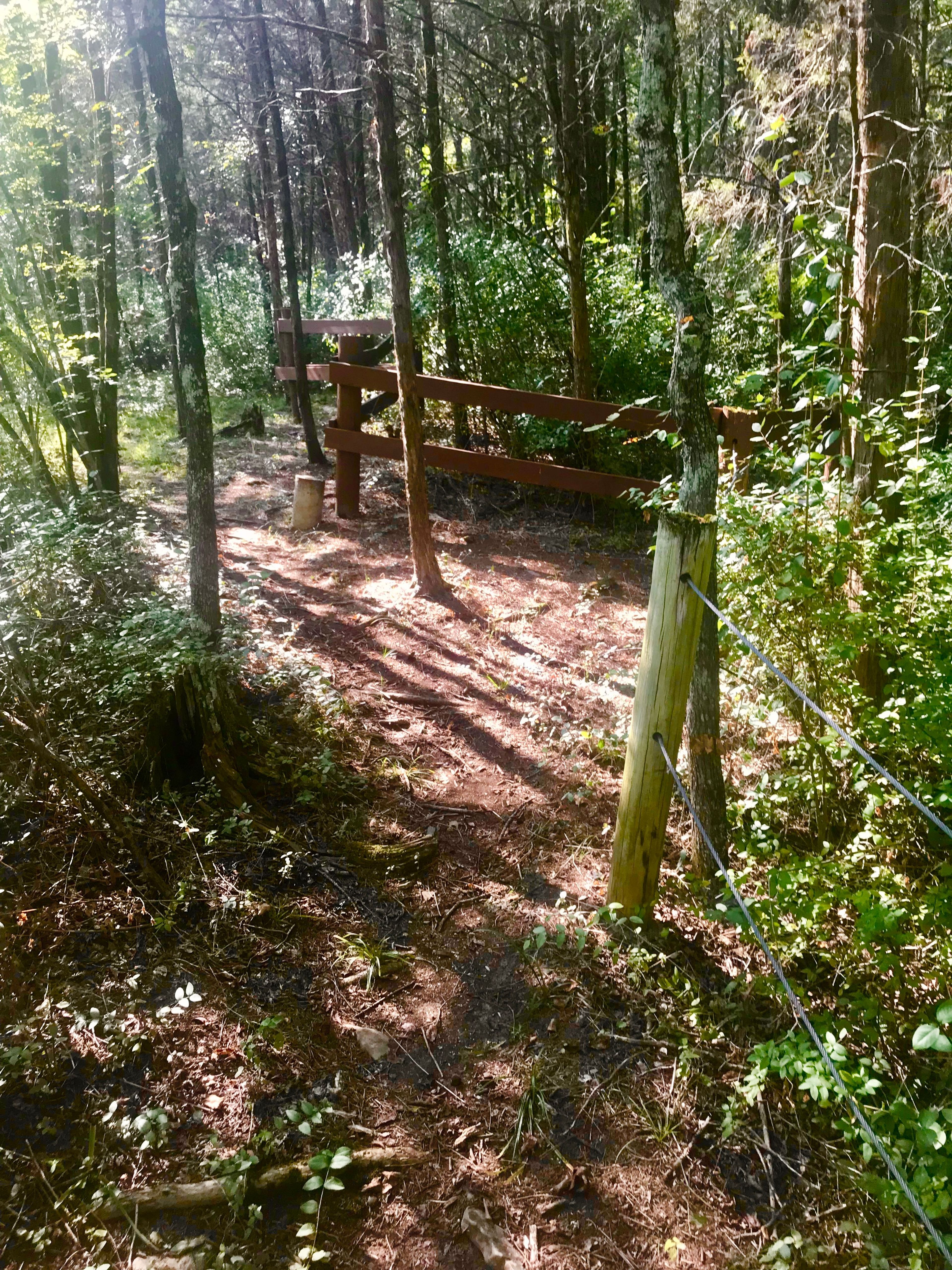 Trail around sinkhole. Photo by Andrew McDonagh.