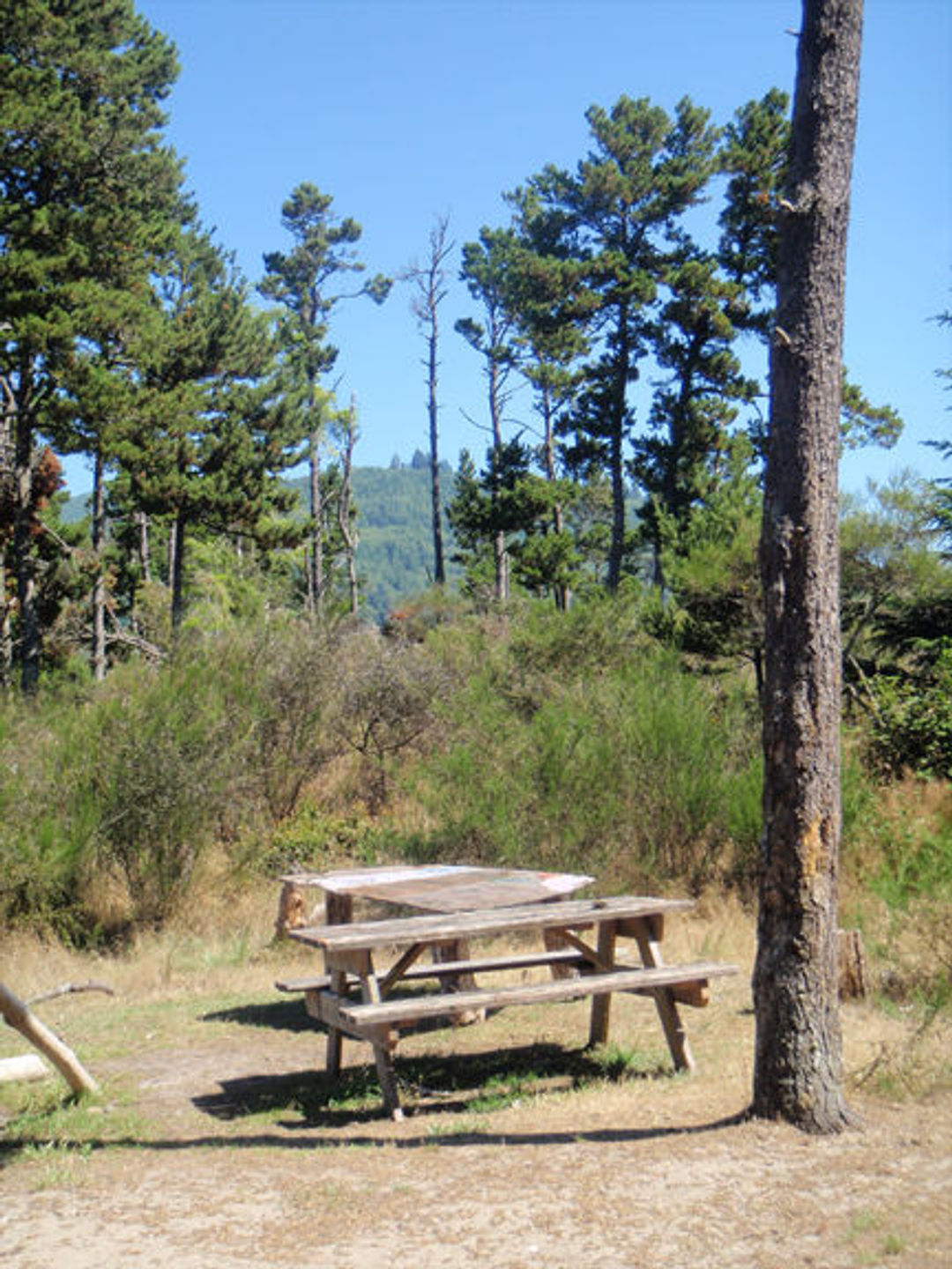 Tillamook County Water Trail - Bay Ocean Spit