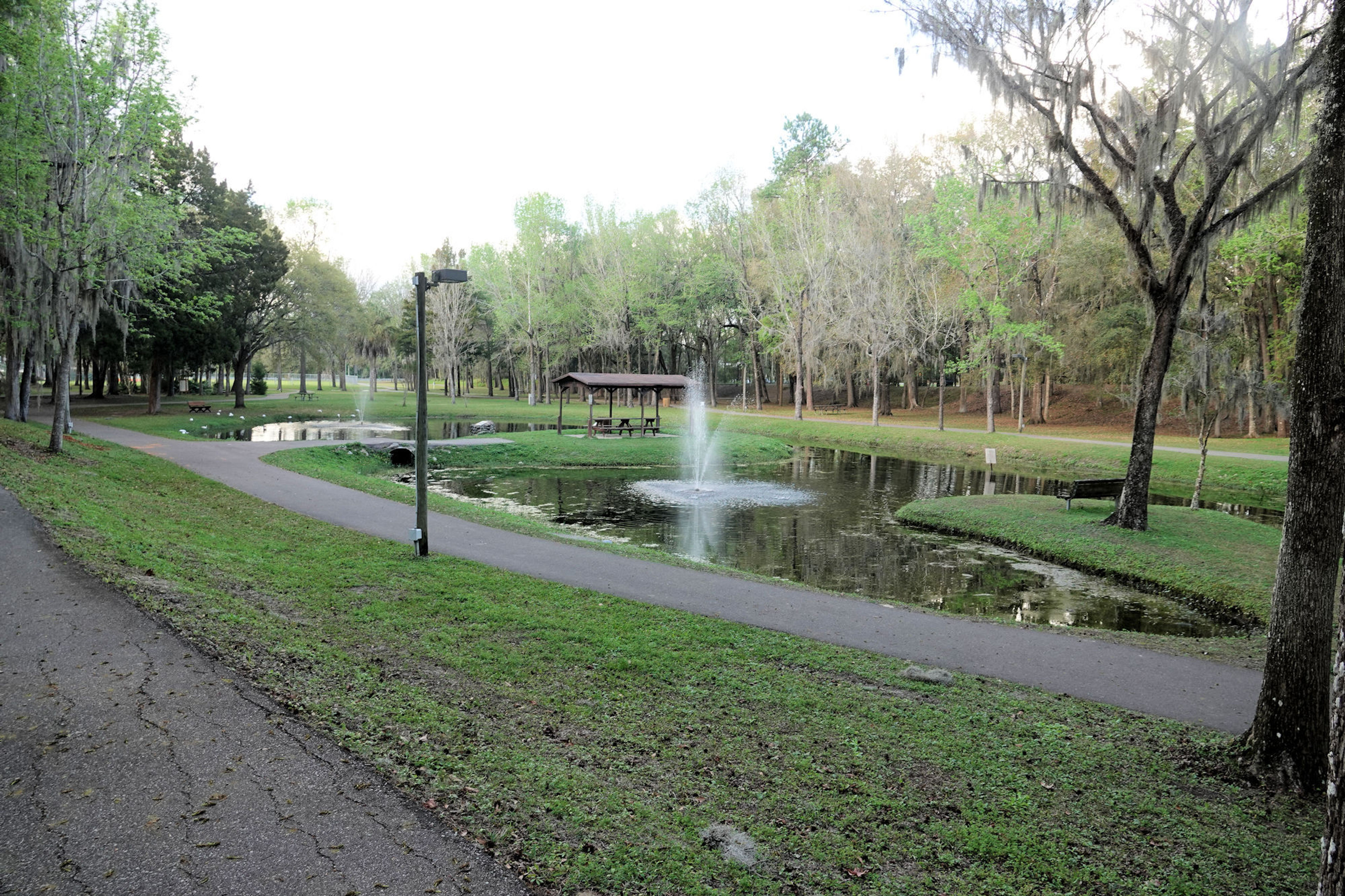 Tom Varn trail. Photo by Jim Walla.