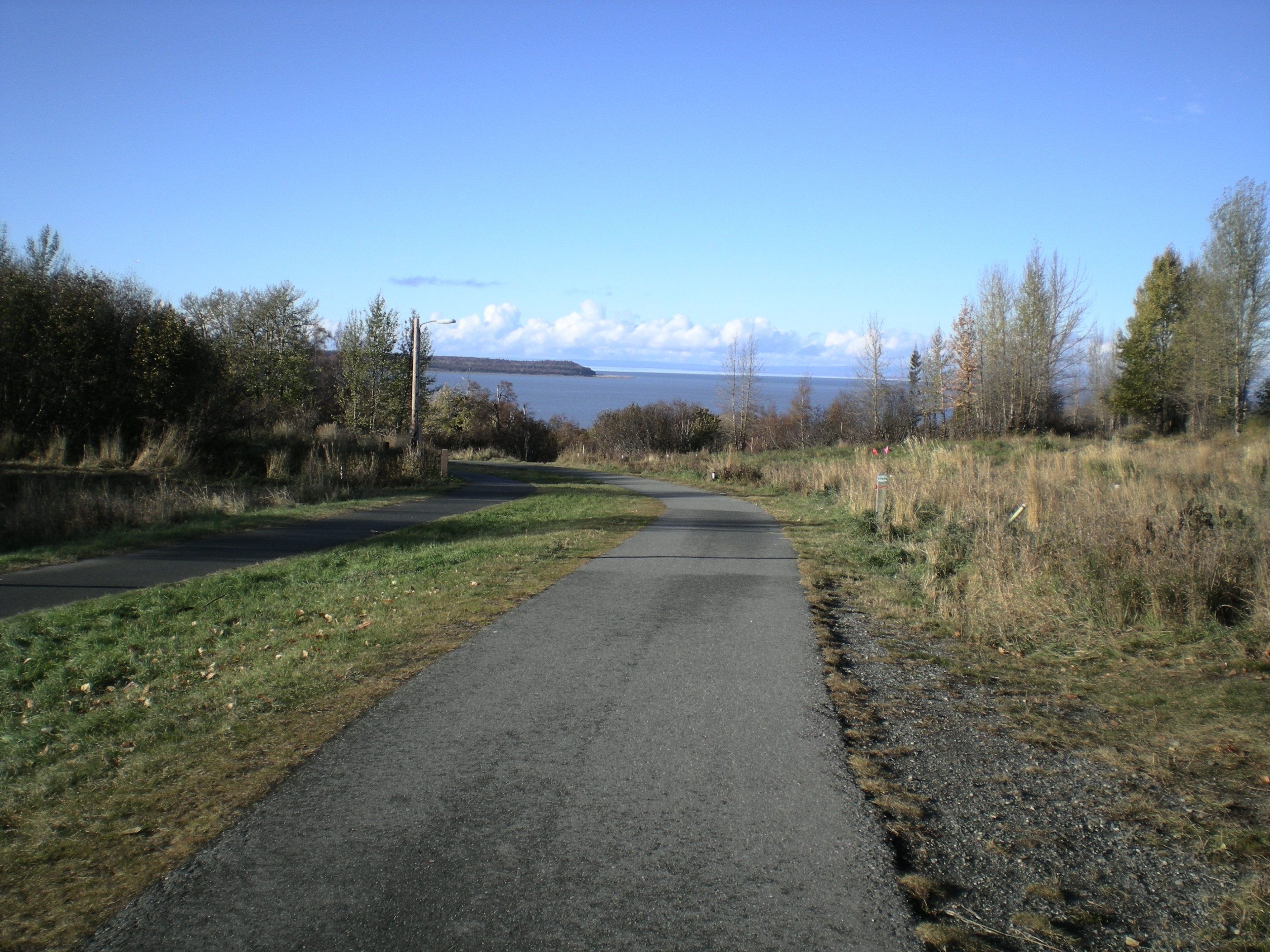 Kincaid Park near Anchorage Airport. Photo by John Terrill.