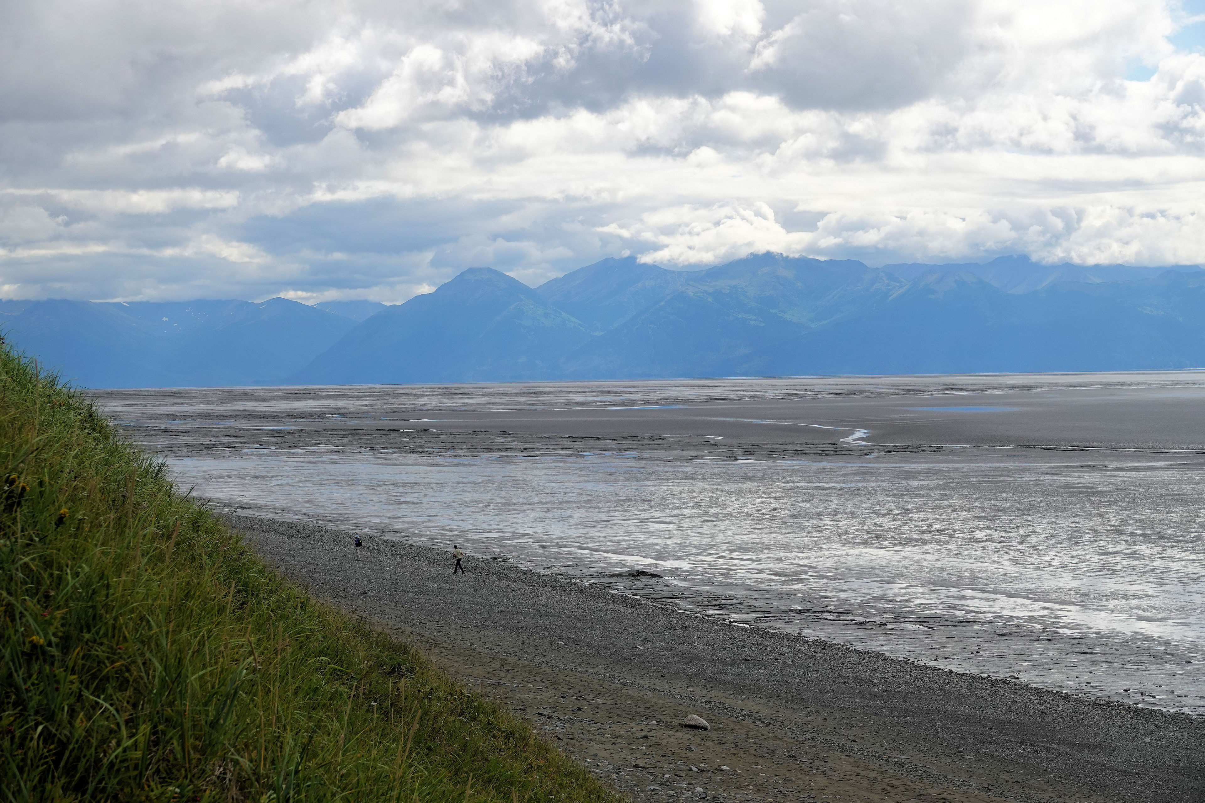 Tony Knowles Coastal Trail - southern end near Kincaid Park - 8-8-18. Photo by Jim Walla.