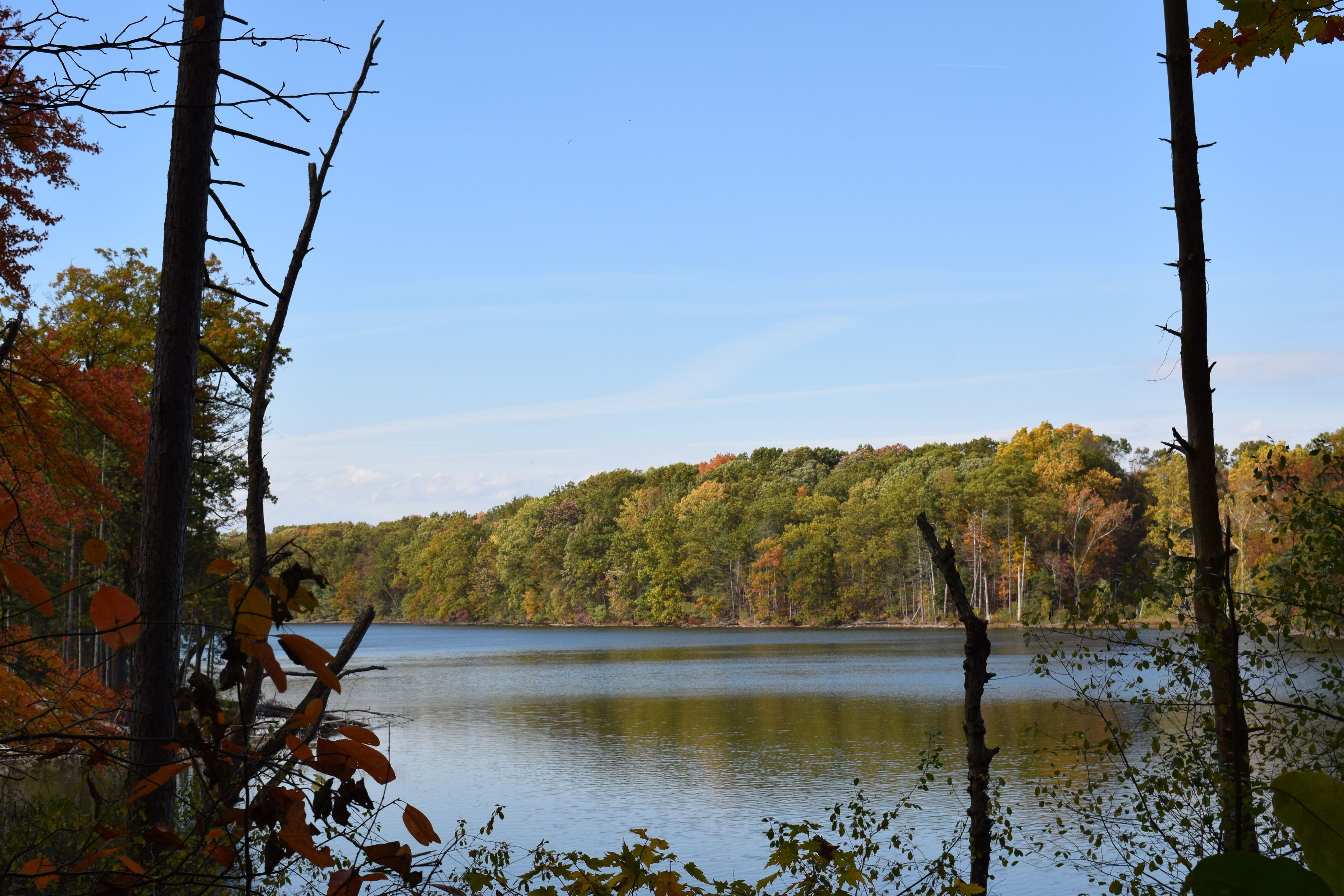 Lake Pippen viewed from Towner's Woods trail. Photo by Andrea Metzler.