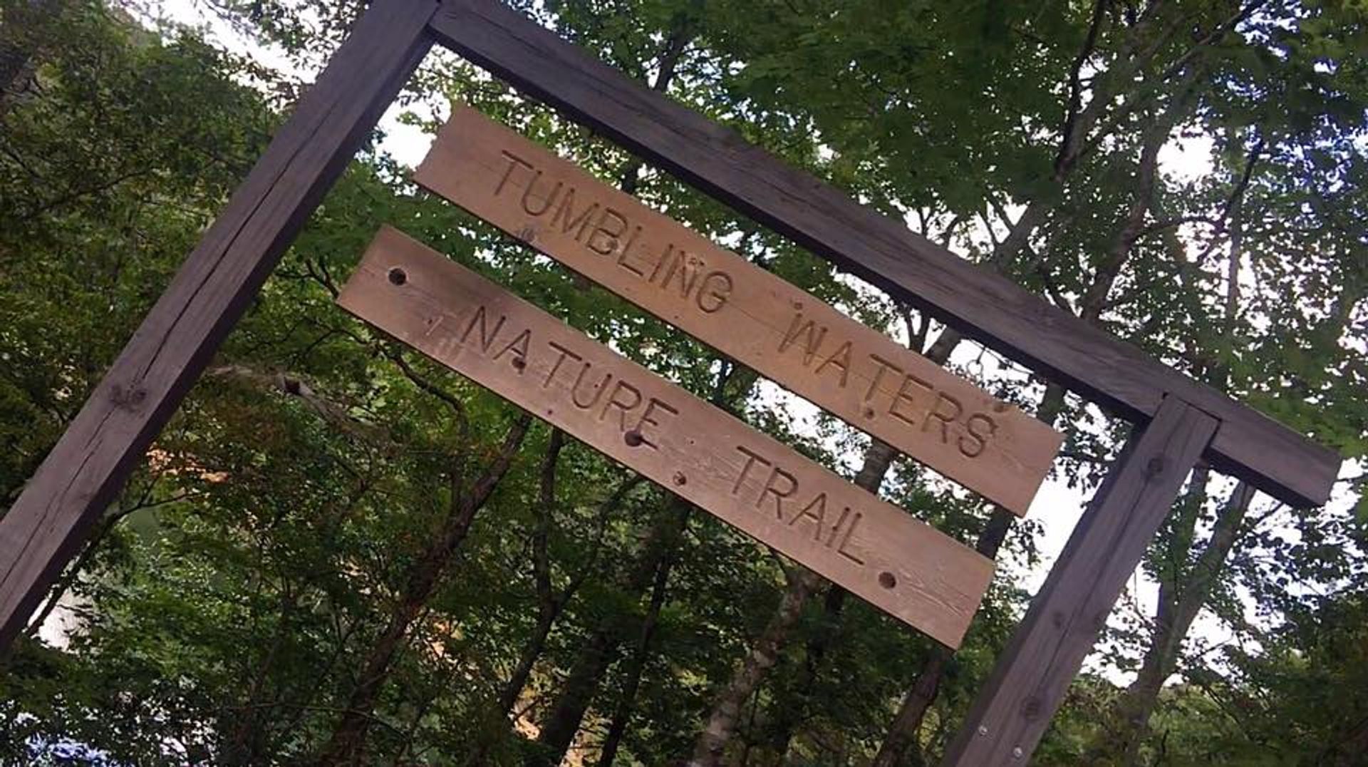 Trail entrance sign. Photo by Stay Active Ellijay.