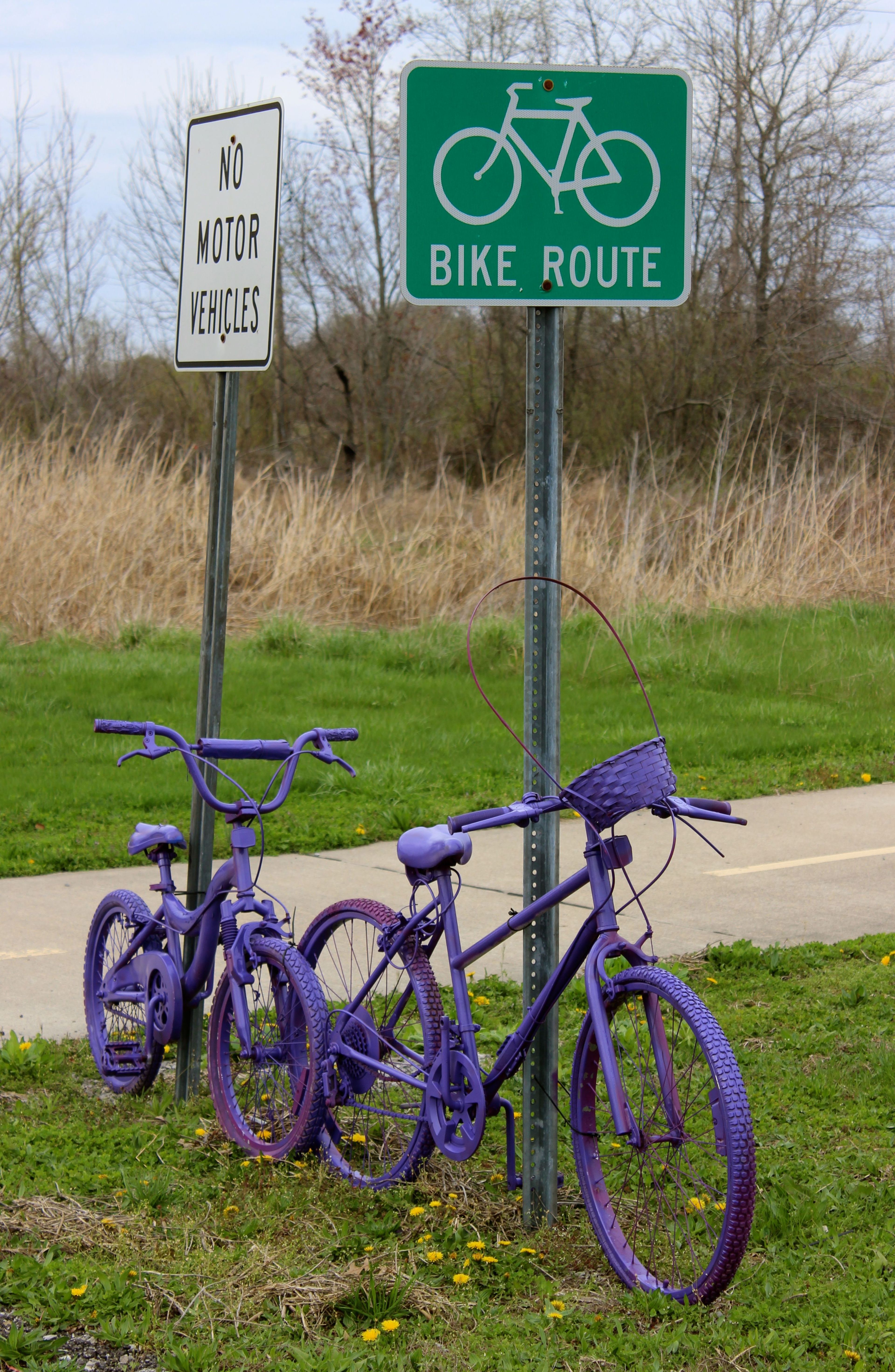 Trailside art along the Saline County paved section of the Tunnel Hill State Trail. Photo by Jonathan Voelz.