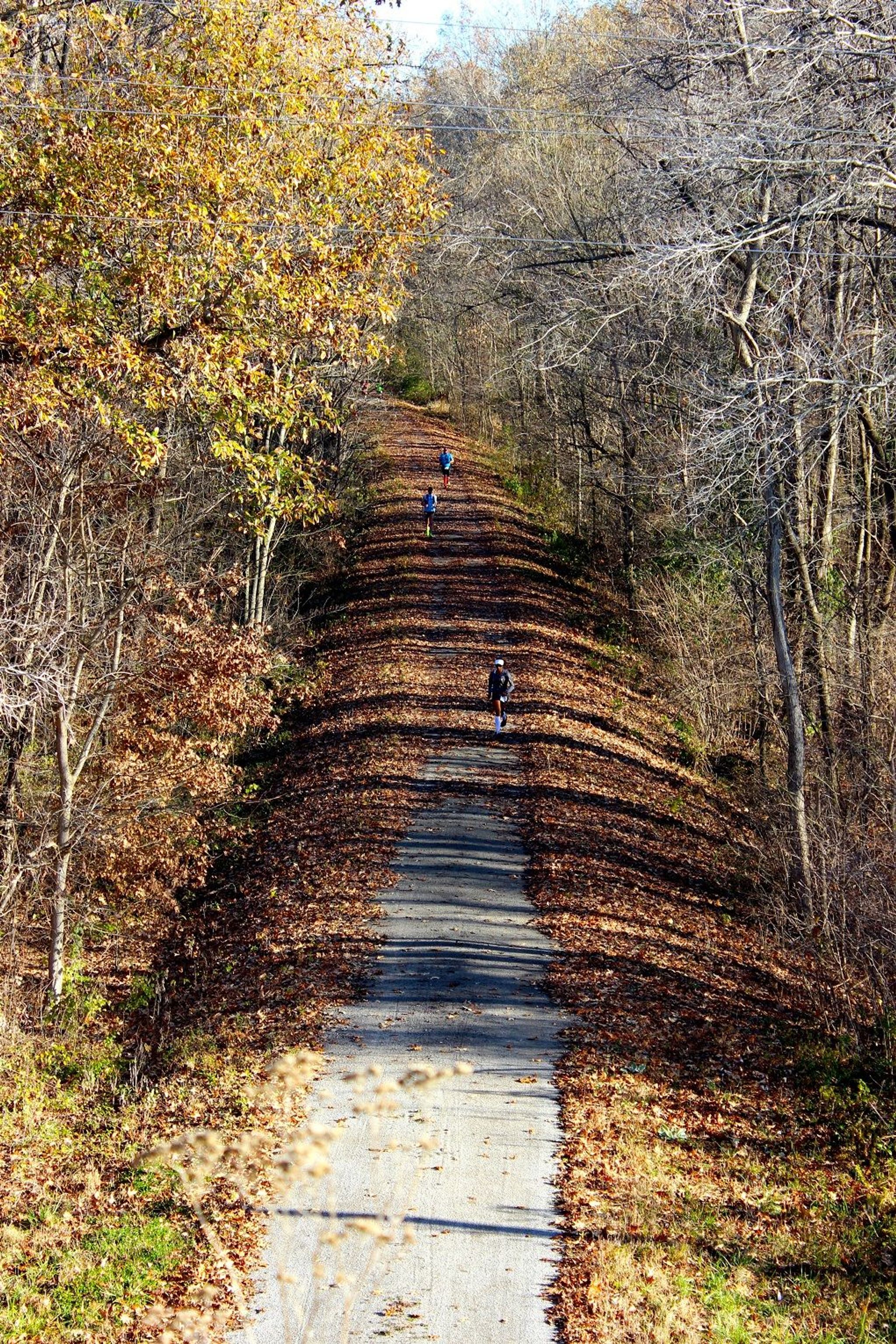 Some of the 400 Tunnel Hill 50/100 mile fall run participants enjoy a beautiful fall day. Photo by Jonathan Voelz.