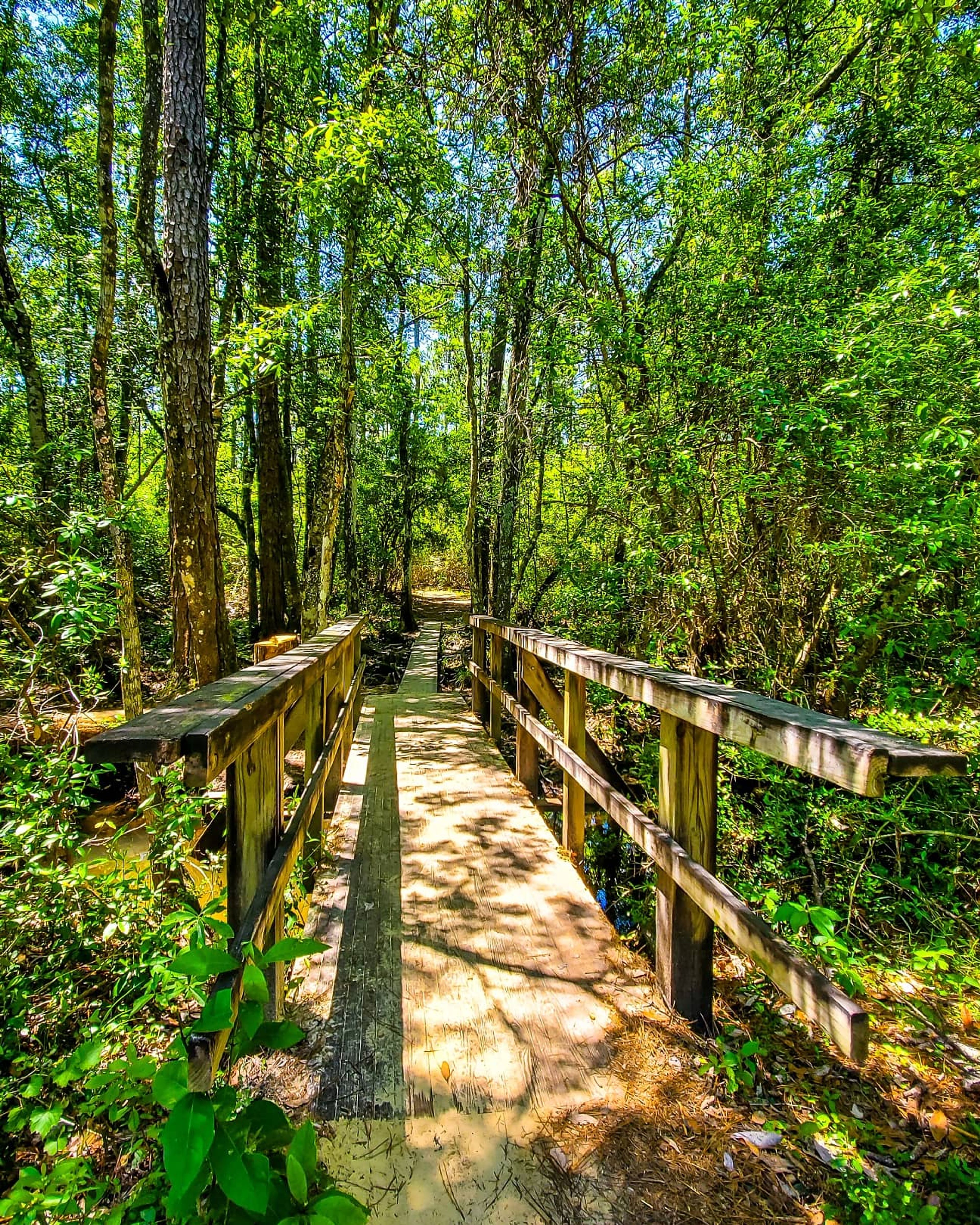 Crossing a bridge along the Tuxachanie Trail on a bright sunny day. Photo by Trey Cranford.