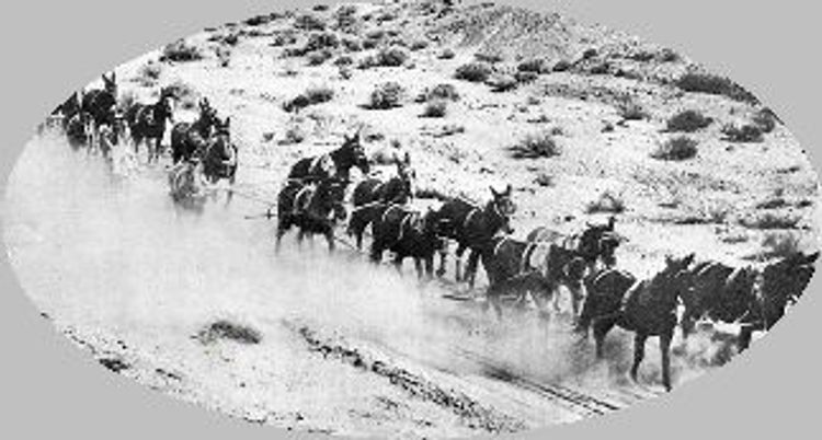 Dusty Trail courtesy of Owens Valley History. Photo by Harold O. Weight.