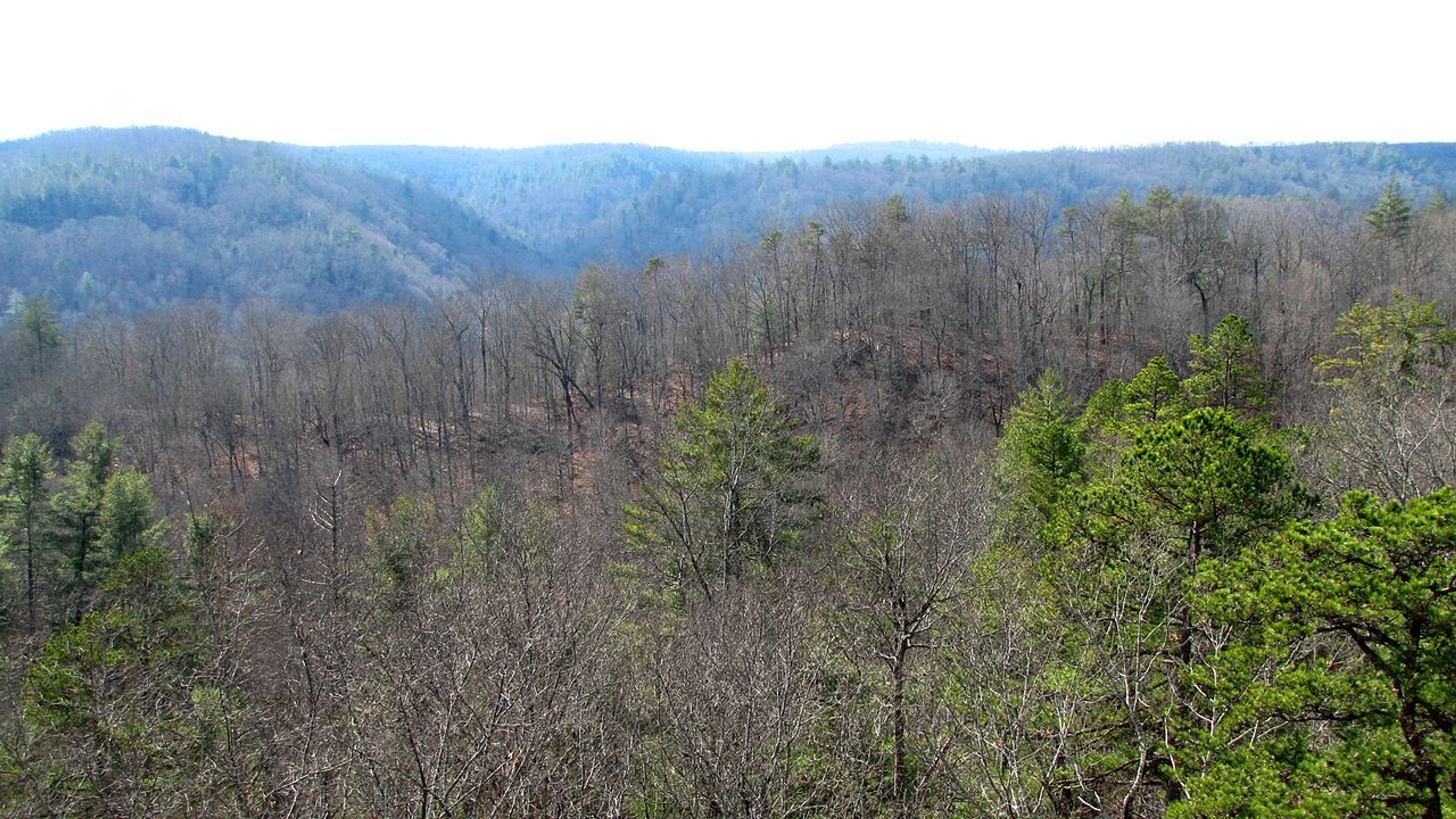 View of the Upper Station Camp Creek valley, from the end of the Twin Arches Trail . Photo by Brian Stansberry/wiki.