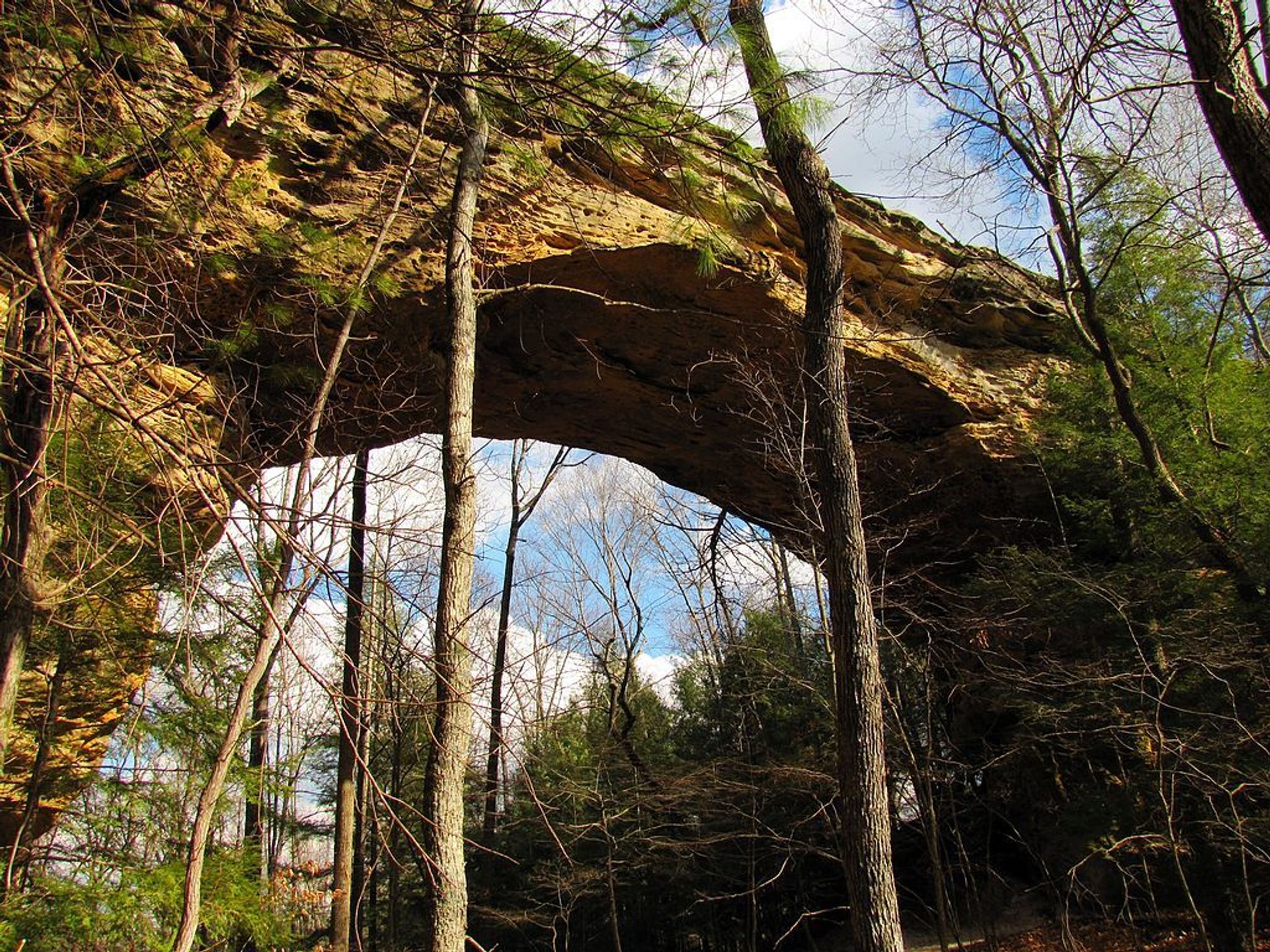 The North Twin Arch at the Big South Fork National River and Recreation Area in Scott County, Tennessee, USA. Photo by Brian Stansberry.