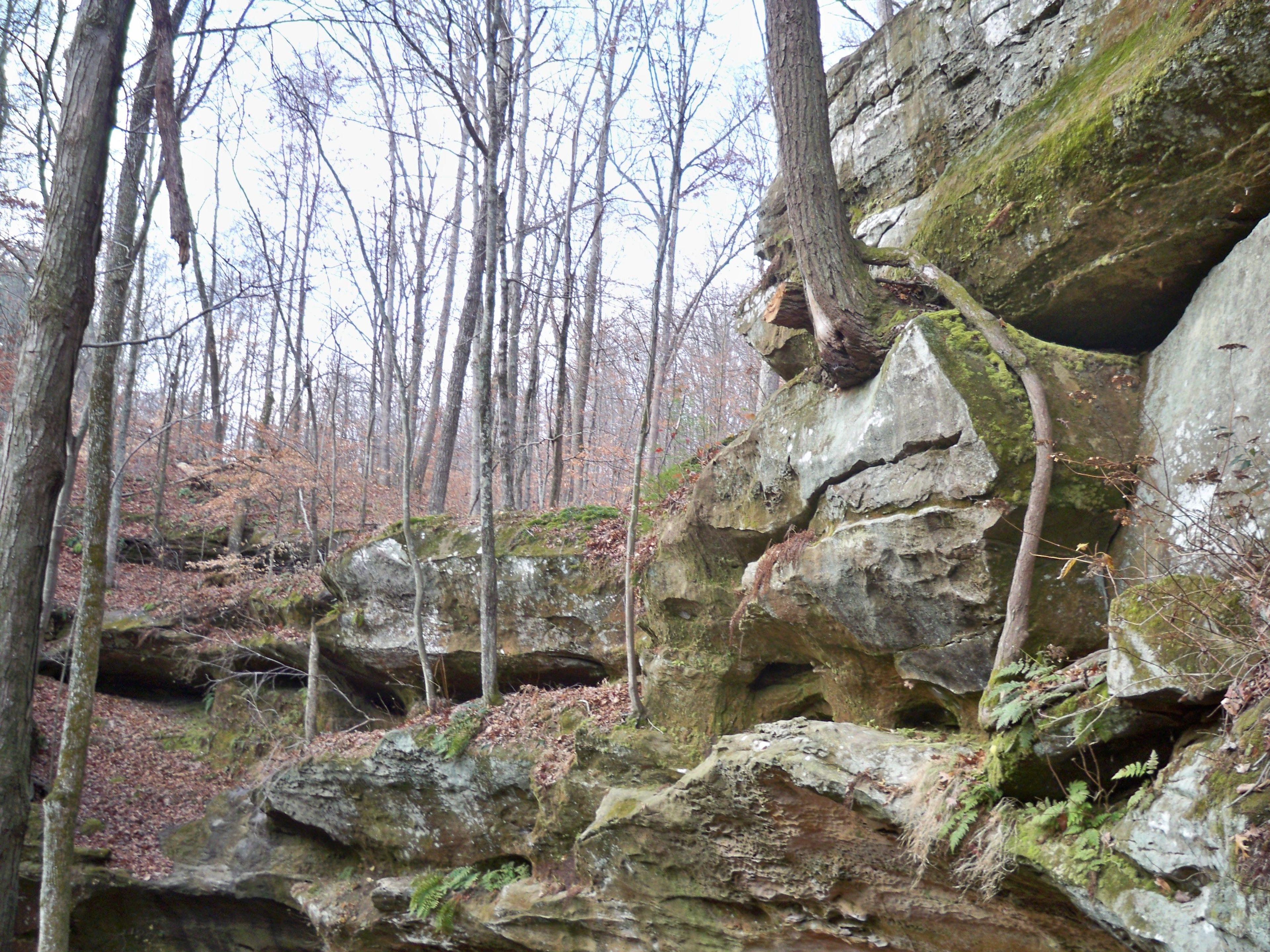 Bluffs along trail. Photo by USFS.