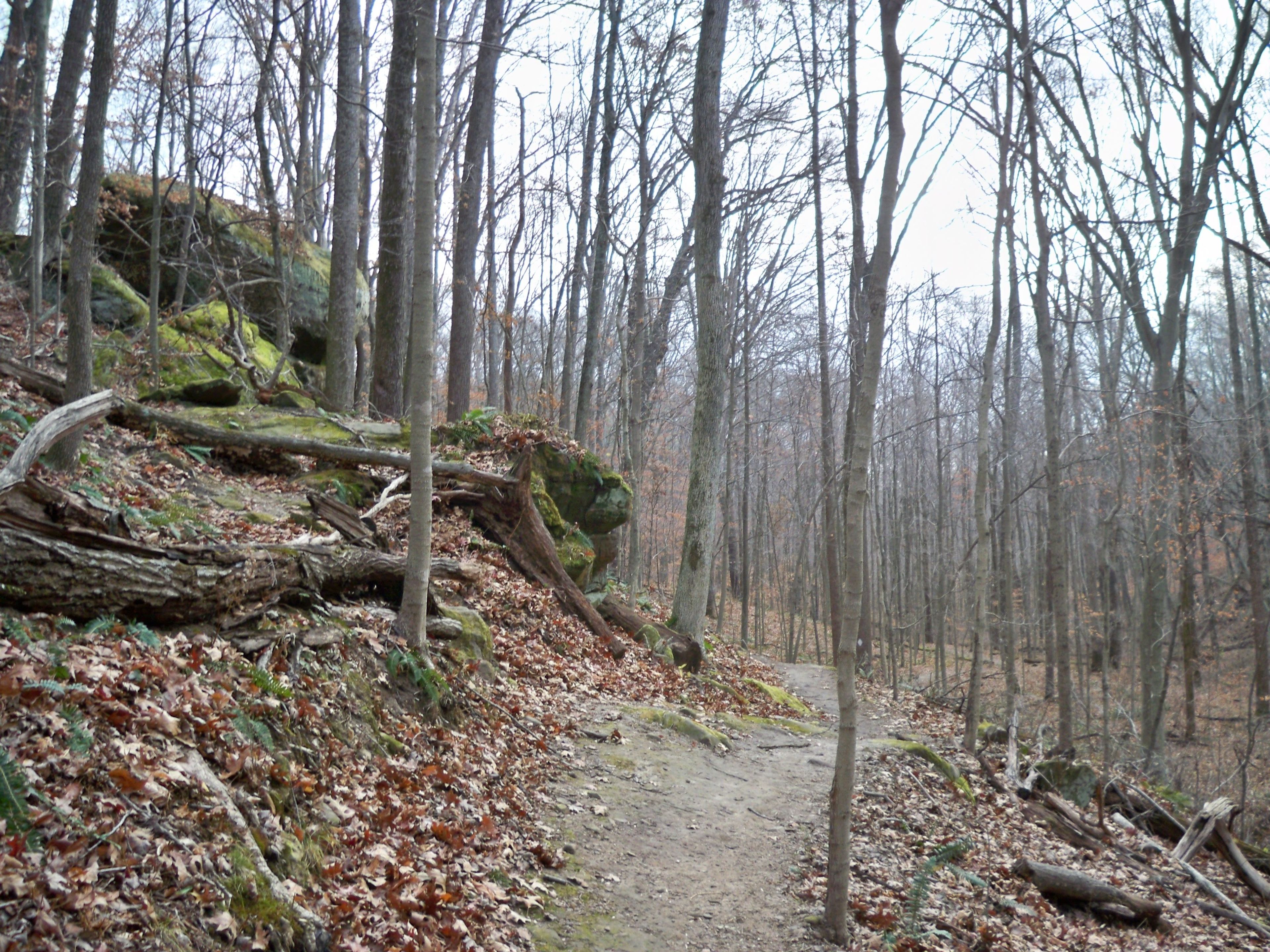 Side Hill Trail. Photo by USFS.