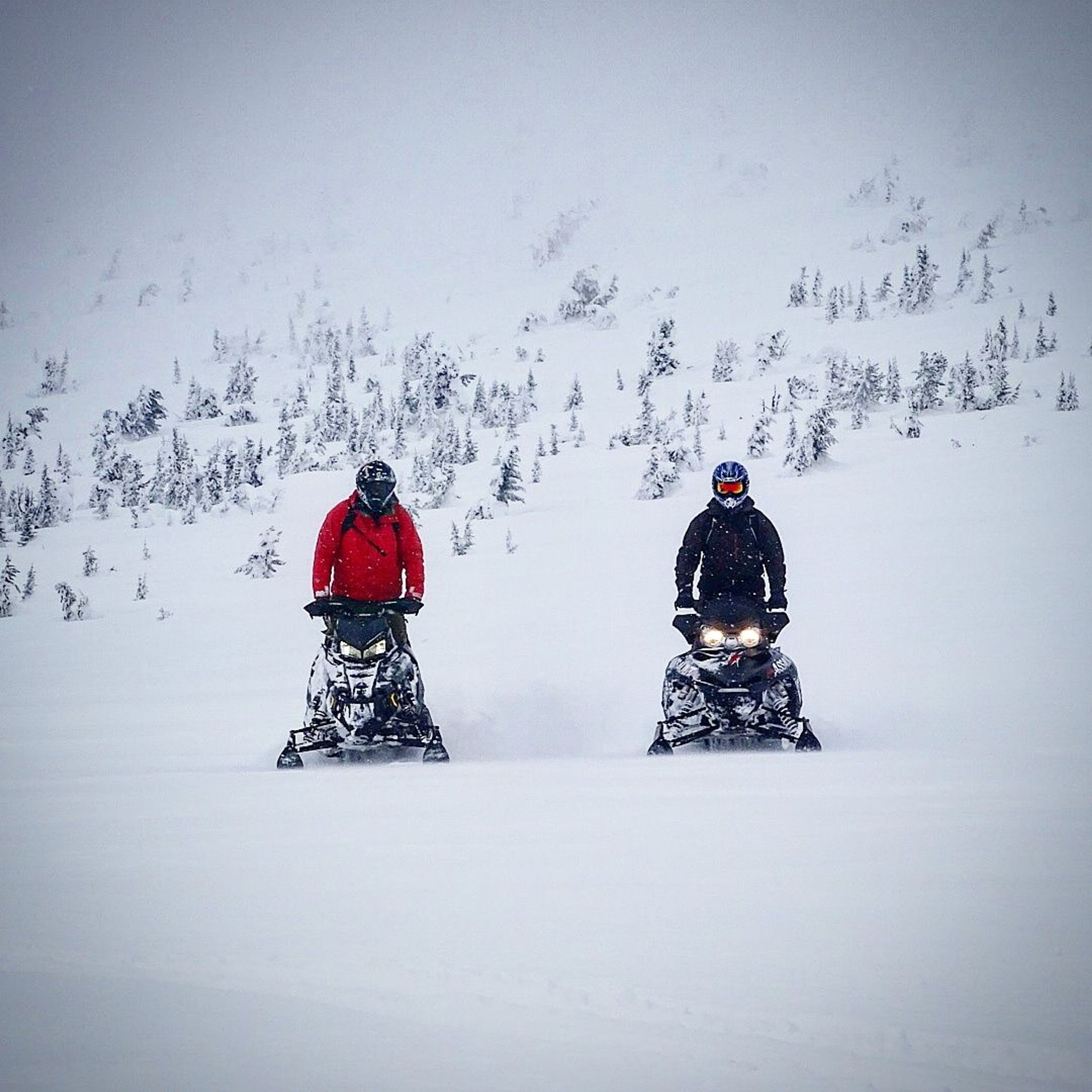 Snowmobilers enjoying fresh snow. Photo by Allyson Orange.