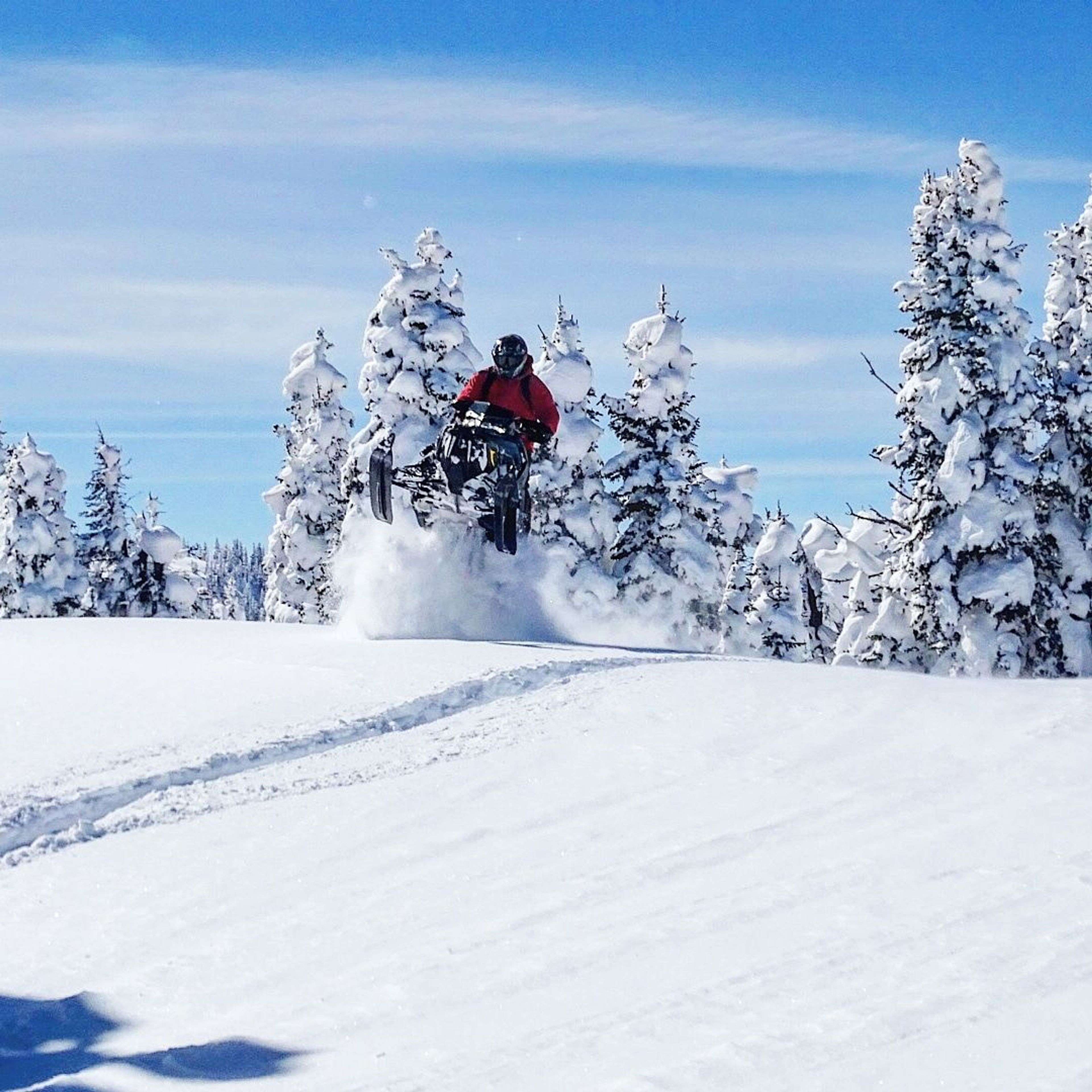 Snowmobilers enjoying fresh snow. Photo by Allyson Orange.