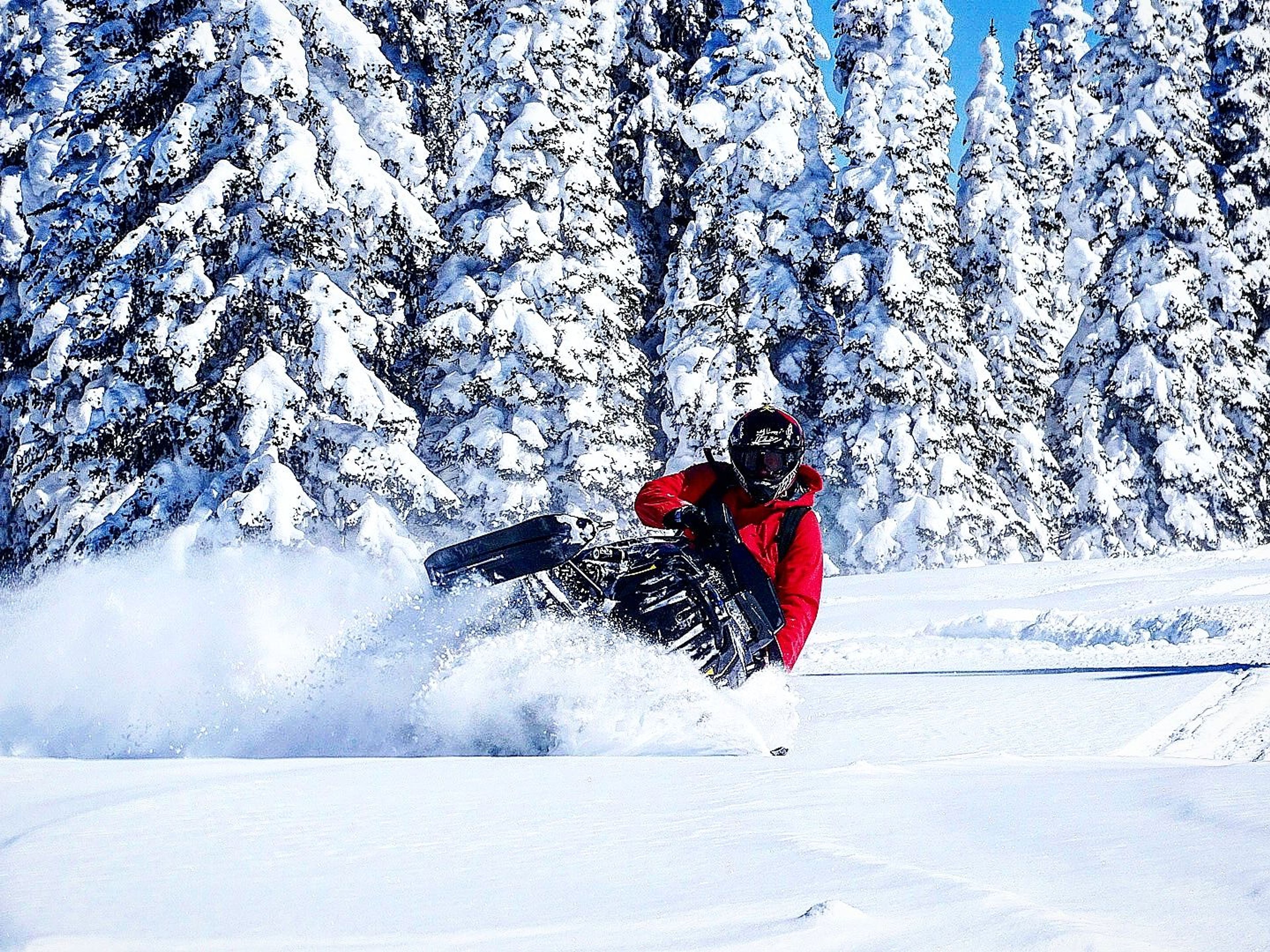 Snowmobilers enjoying fresh snow. Photo by Allyson Orange.