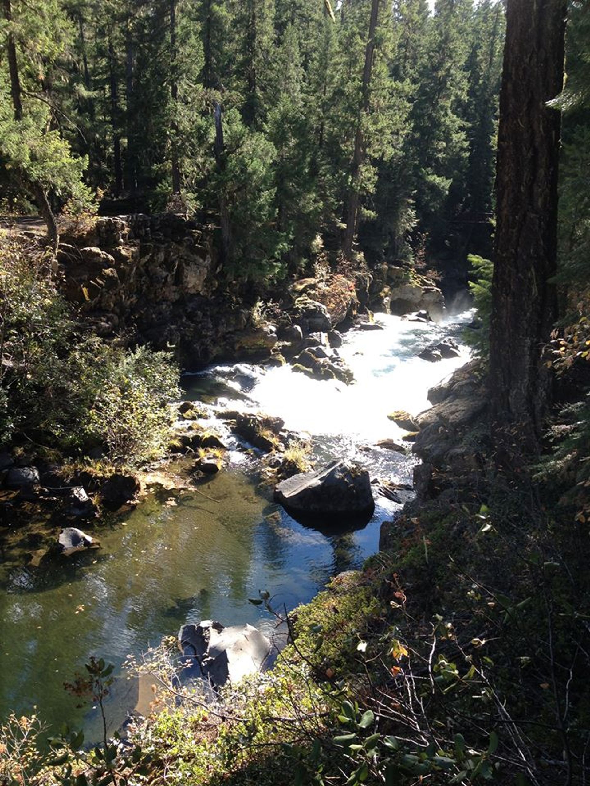 Trip to upper Rogue River by Prospect & Union Creek Or. Photo by Lou Young.