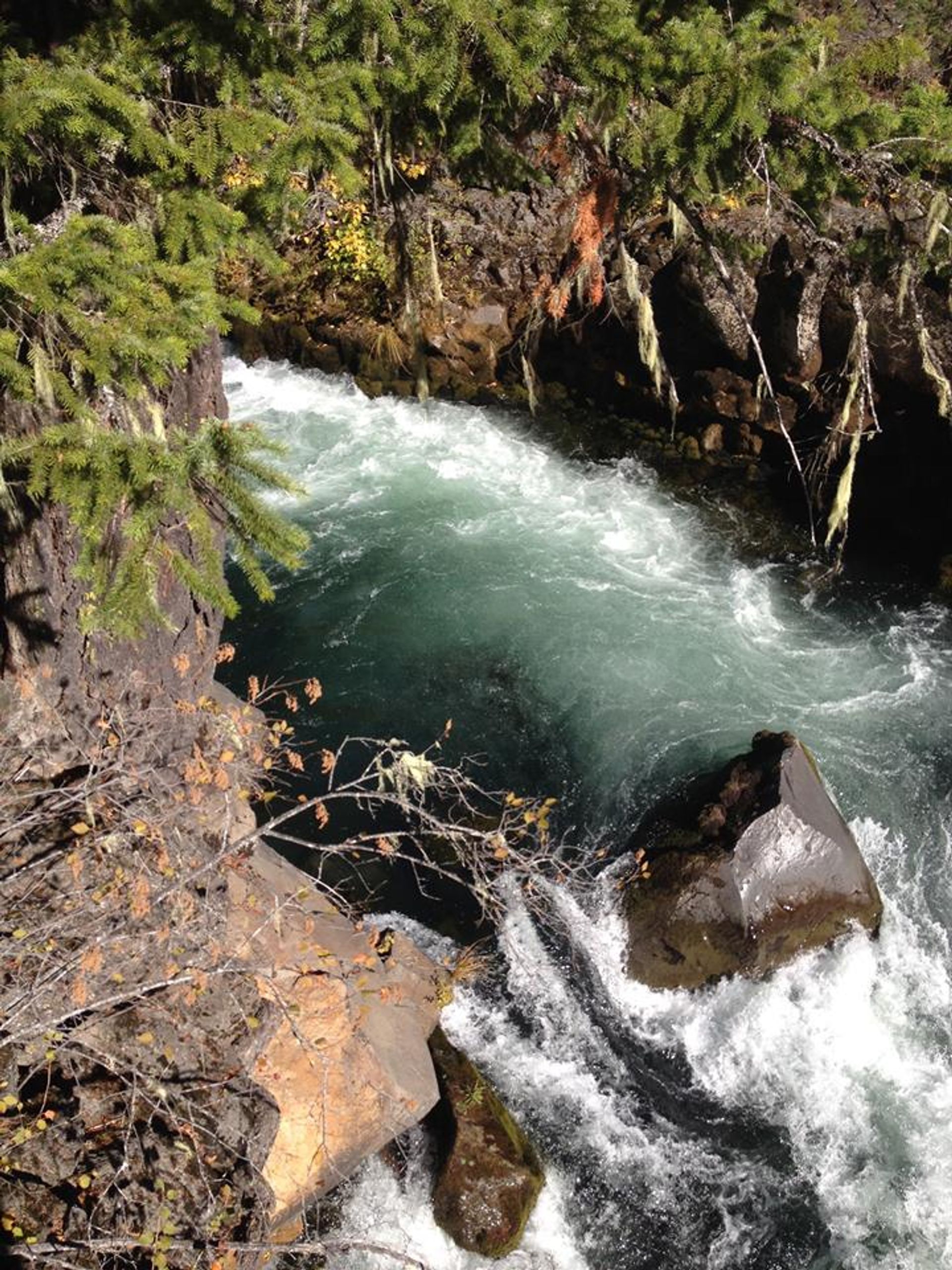 Trip to upper Rogue River by Prospect & Union Creek Or. Photo by Lou Young.