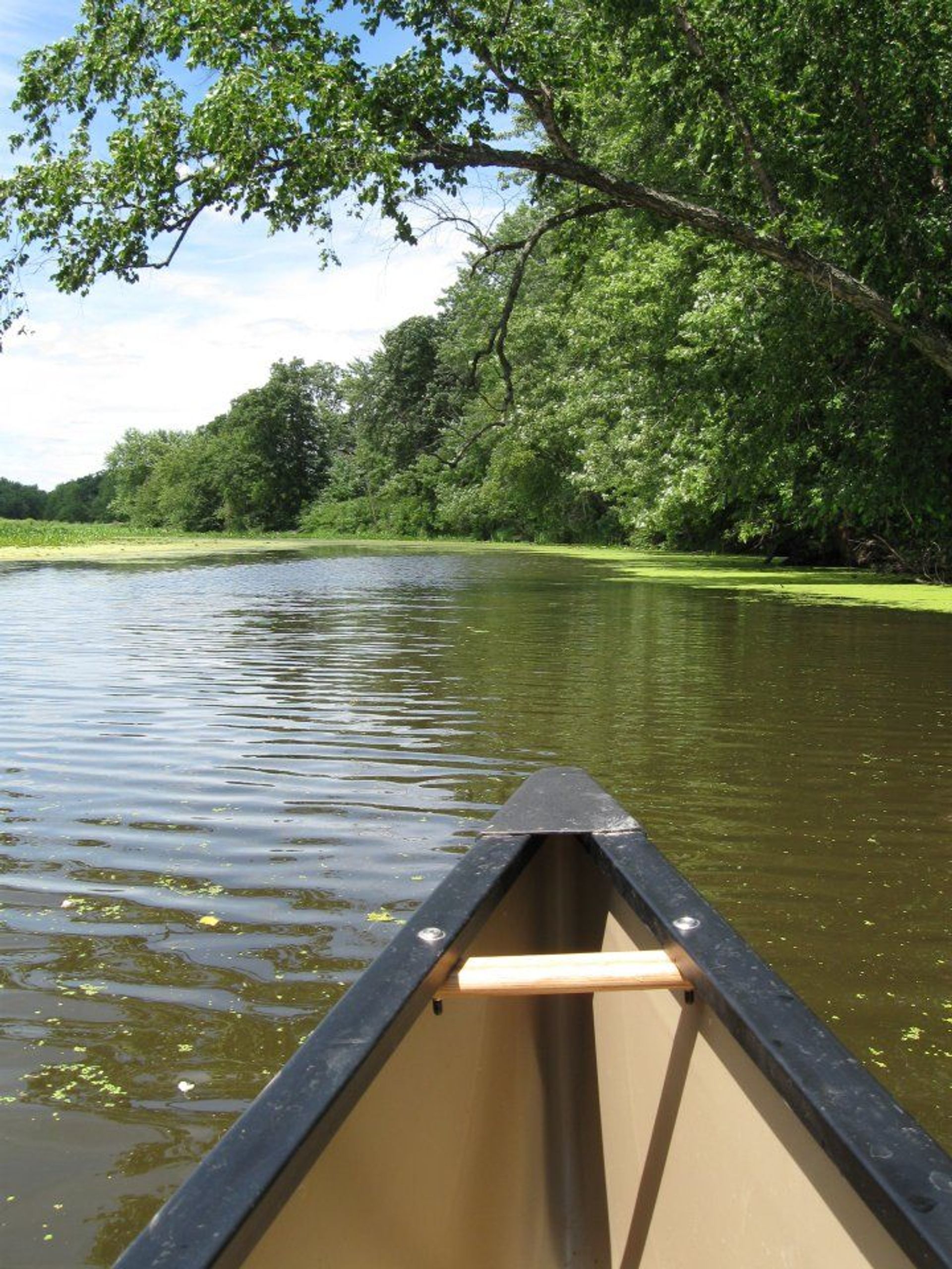 Verchota Canoe Trail