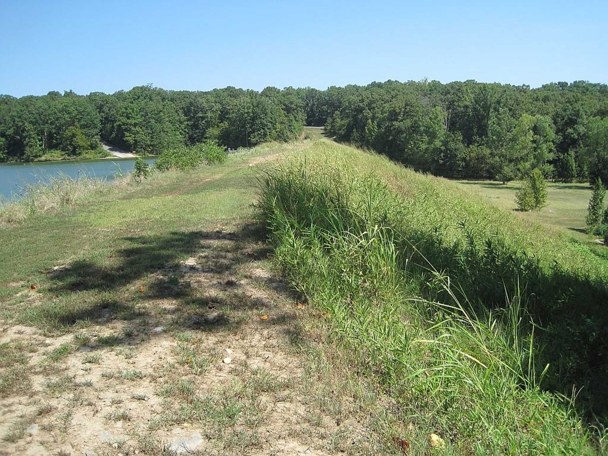 Village Creek State Park south of Wynne, Arkansas. Photo by Thomas R Machnitzki.