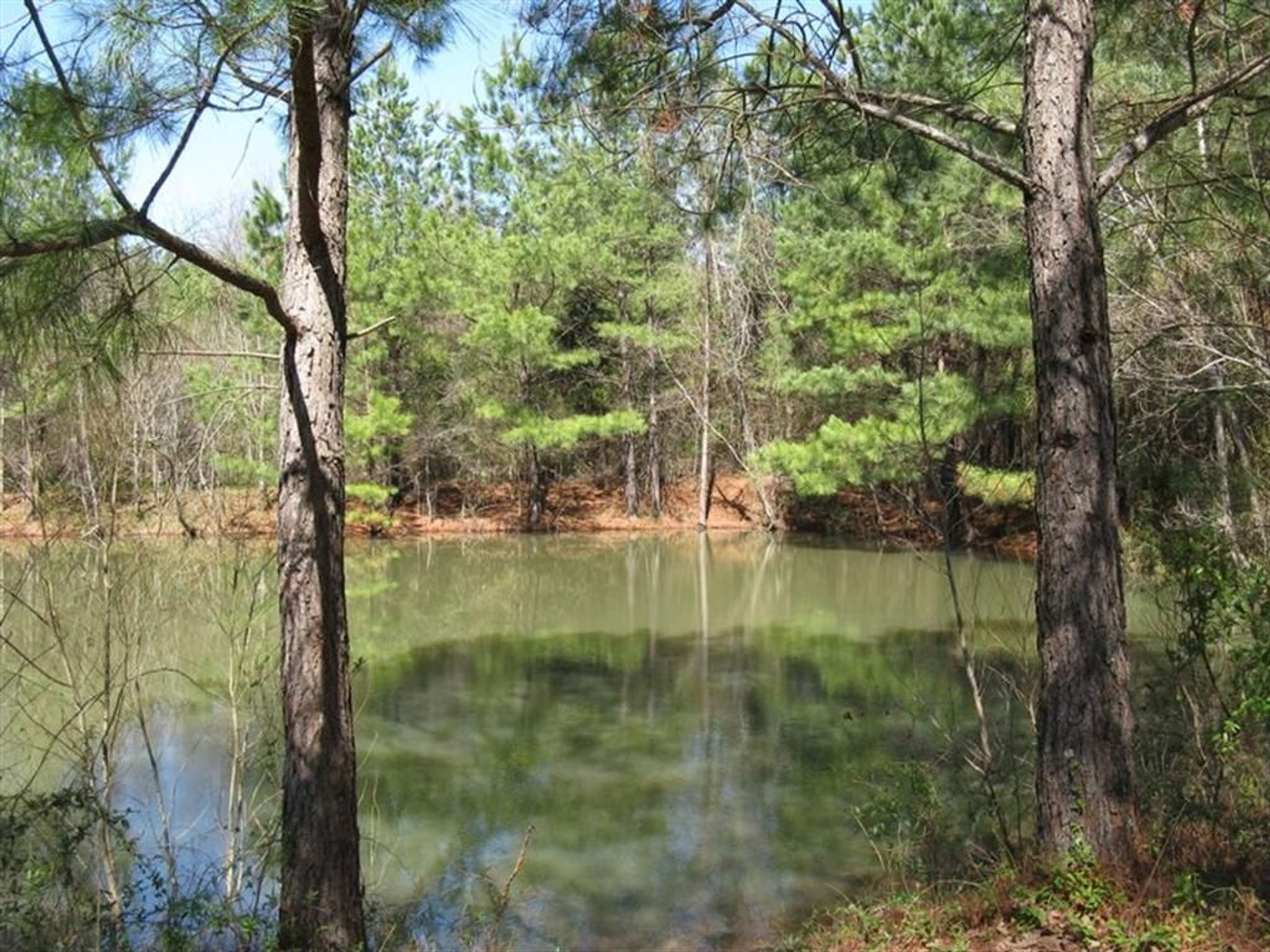 Wade Mountain Nature Preserve Spring