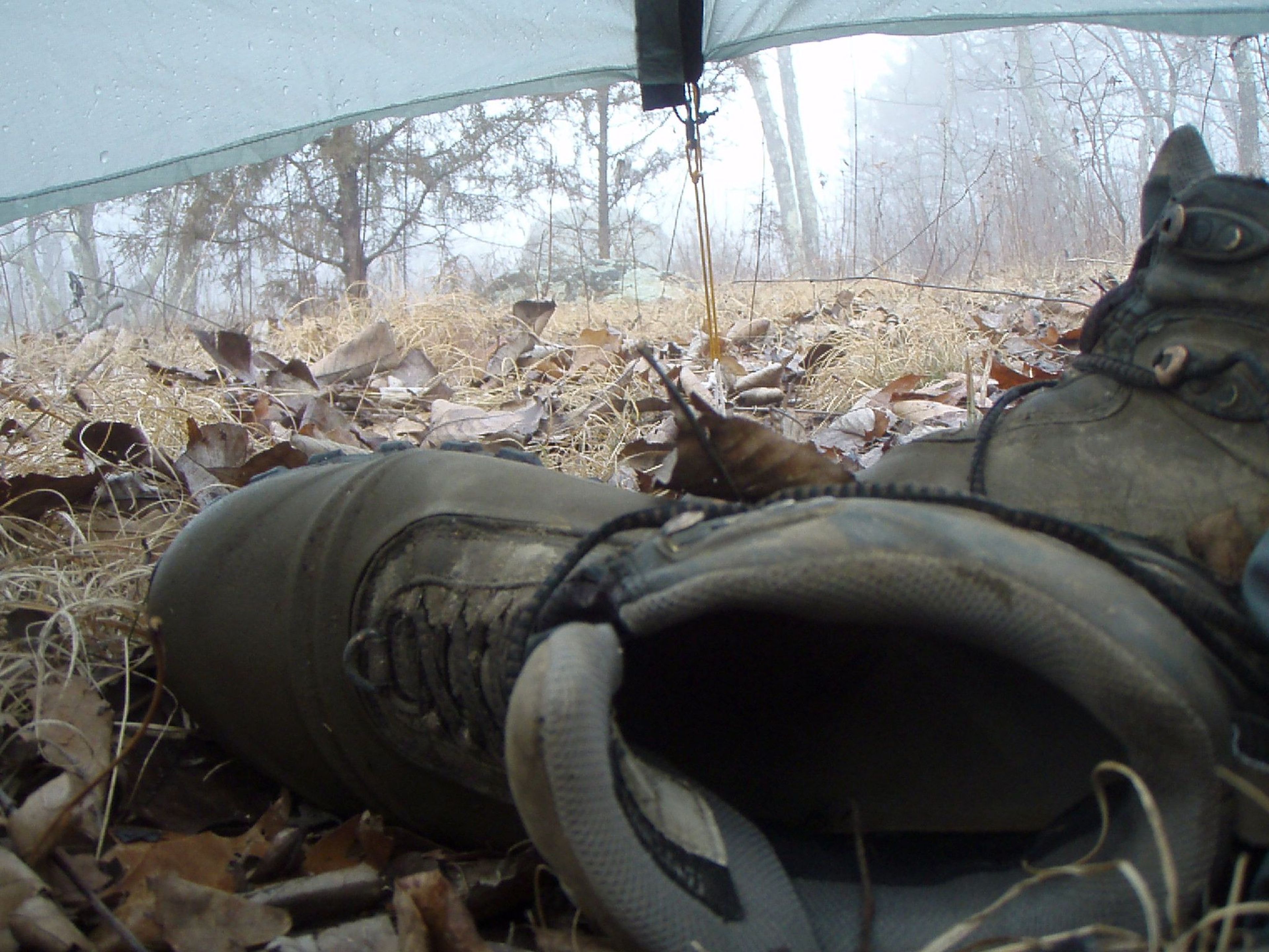 Camp and Boots. Photo by Jim Davis.