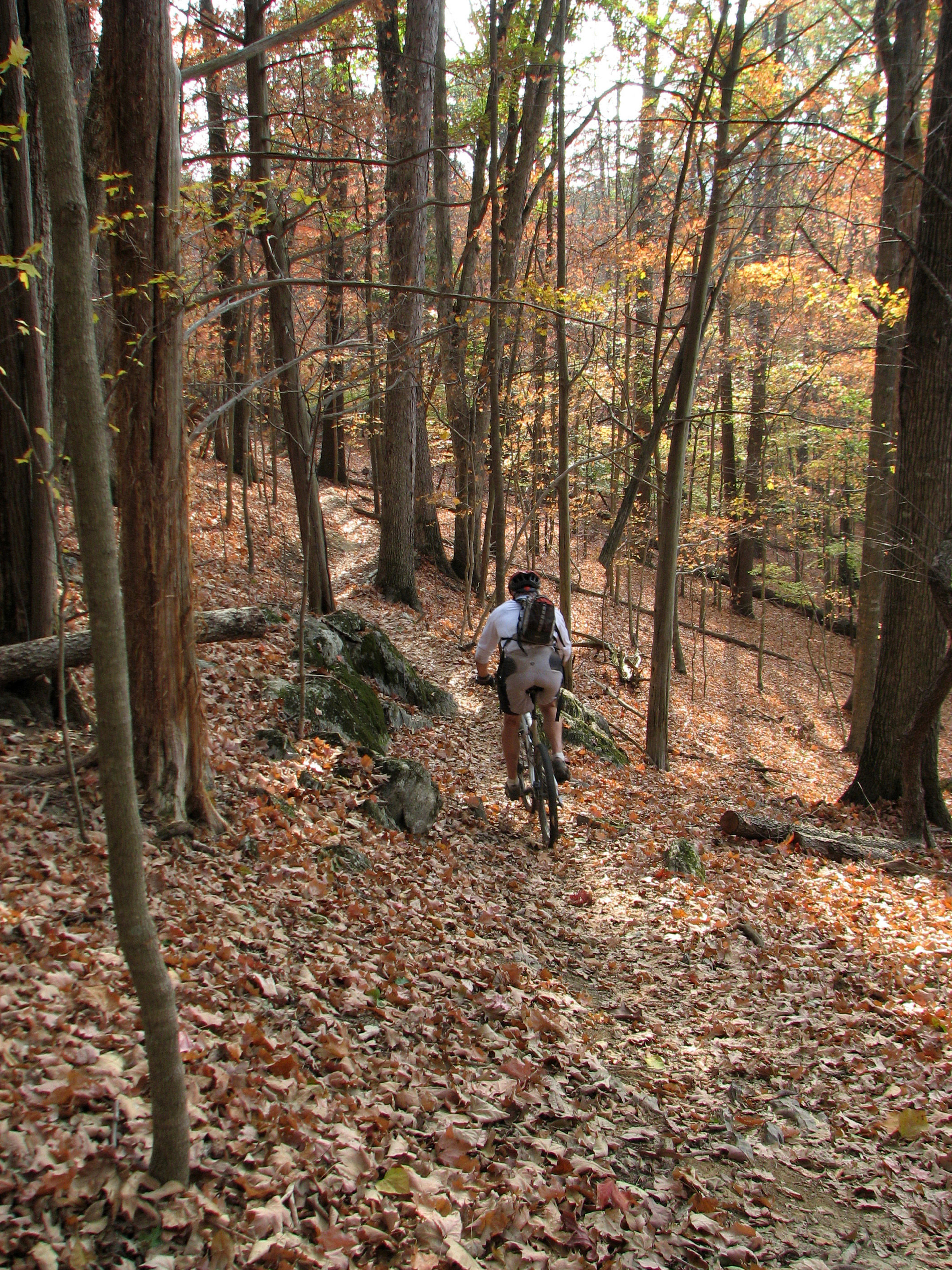 Mountain biker on trail. Photo by Warriors' Path State Park.