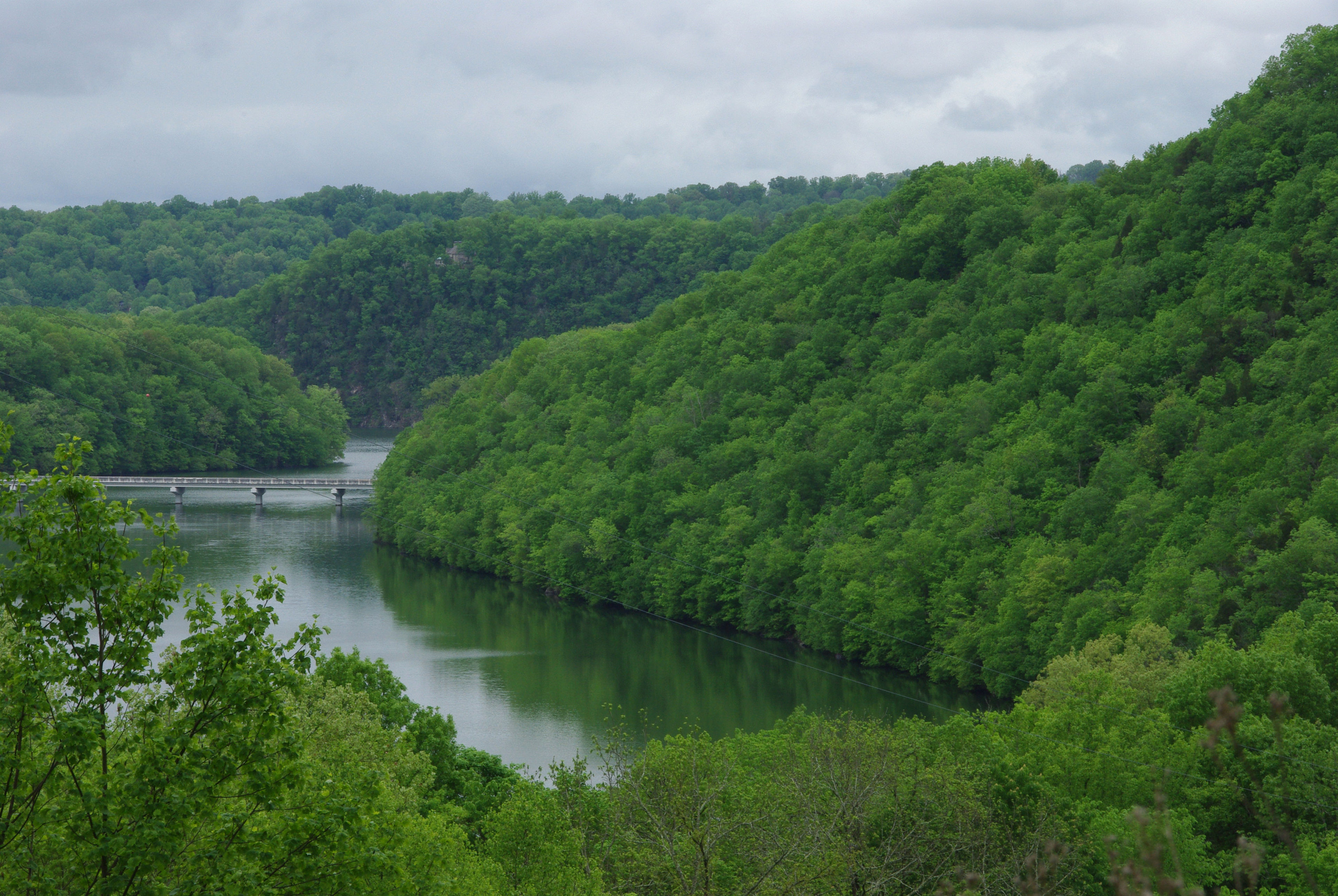 Summer view from trail. Photo by Warriors' Path State Park.