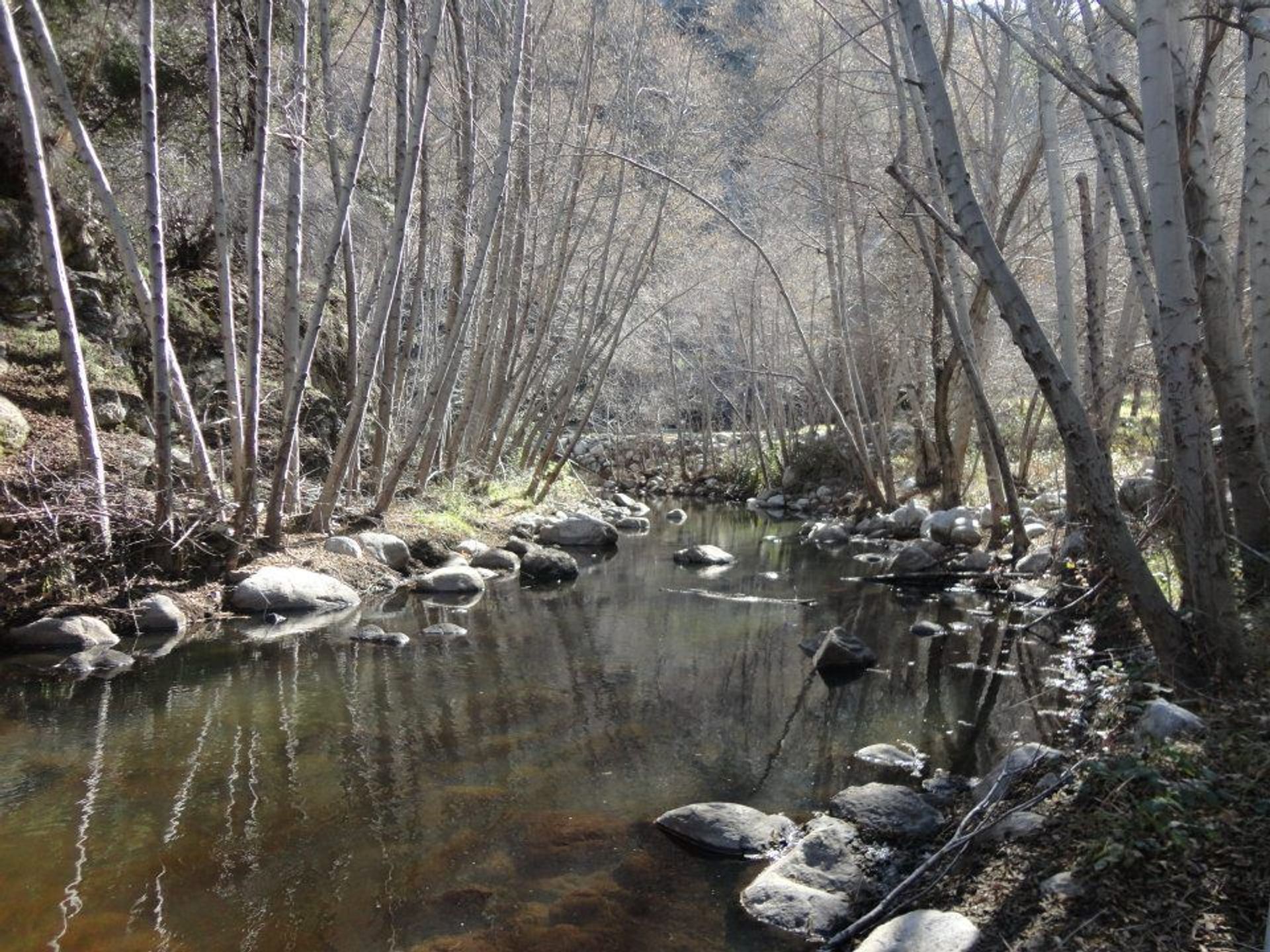 West Fork - Cogswell Dam. Photo by Jordan Glenn.