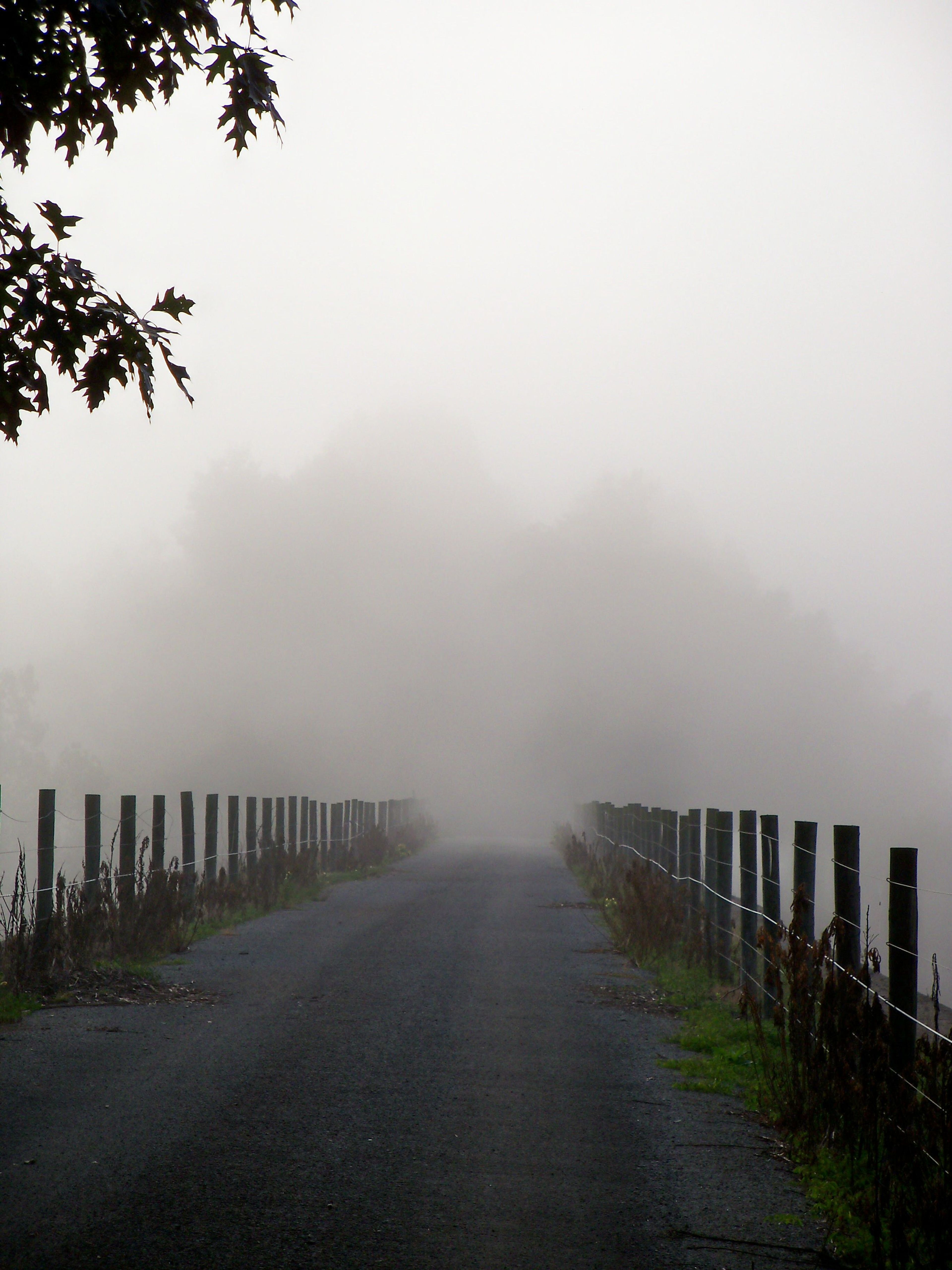 Fog on Bridge 5, Bow Ridge. Photo by Clare Kaczmarek.