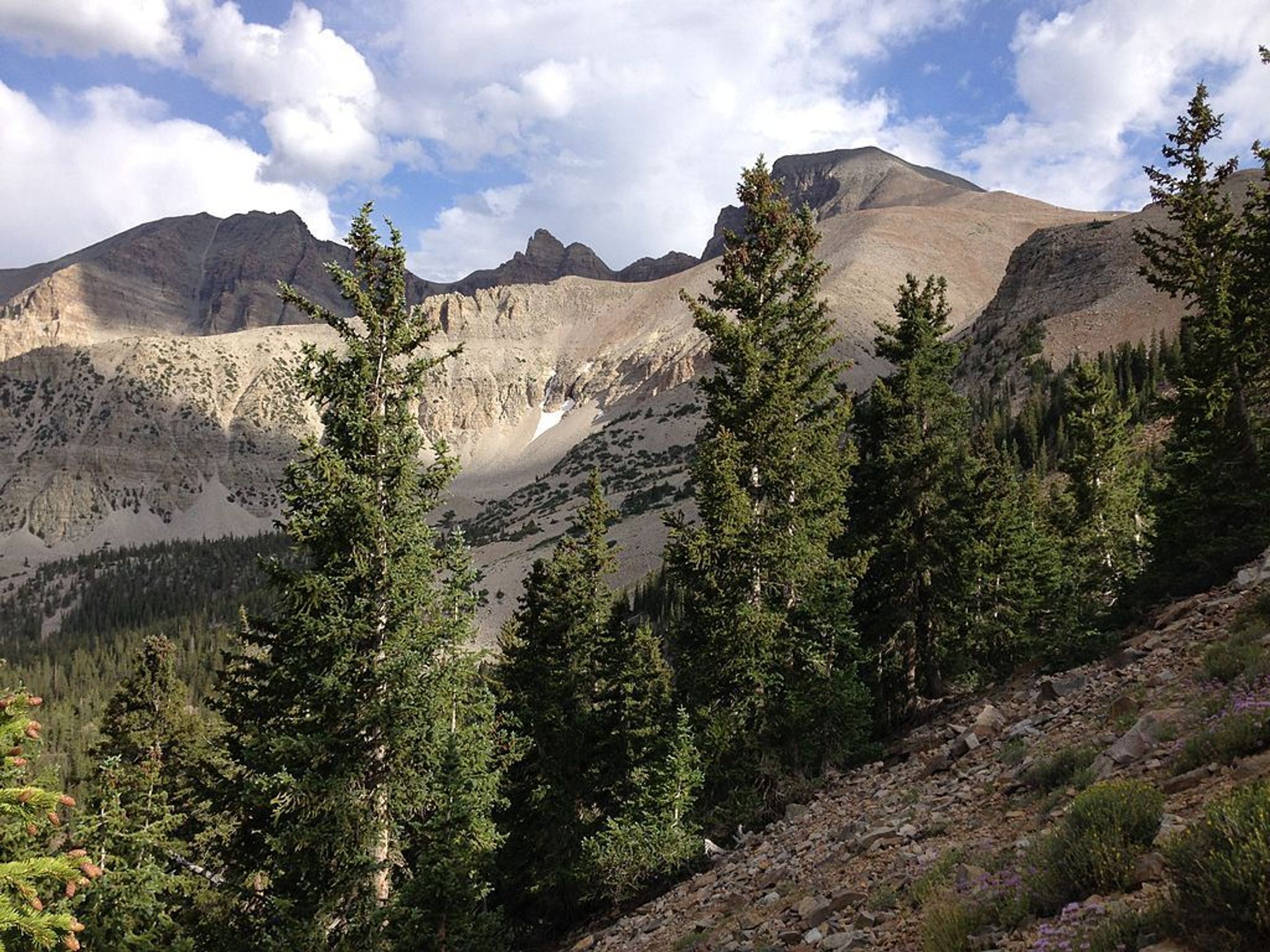 View of Wheeler Peak from the Wheeler Peak Summit Trail in Great Basin National Park. Photo by Famartin/wiki.