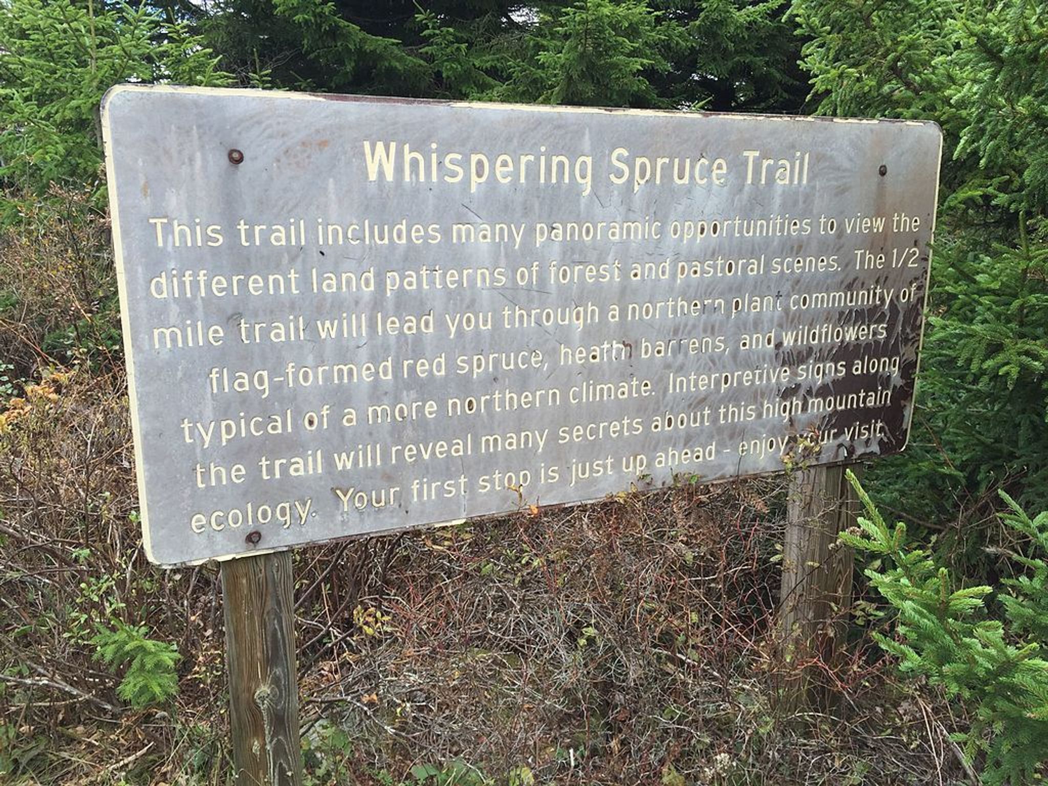 Sign describing the Whispering Spruce Trail on Spruce Knob, West Virginia. Photo by Famartin.