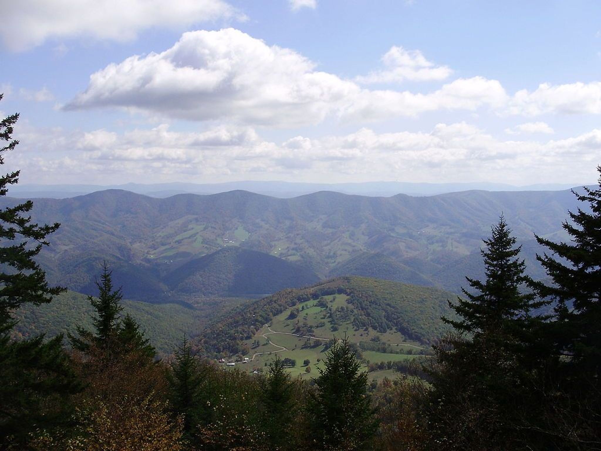 View southeast through Red Spruce forest from the Whispering Spruce Trail just southeast of Spruce Knob, West Virginia. Photo by Famartin.