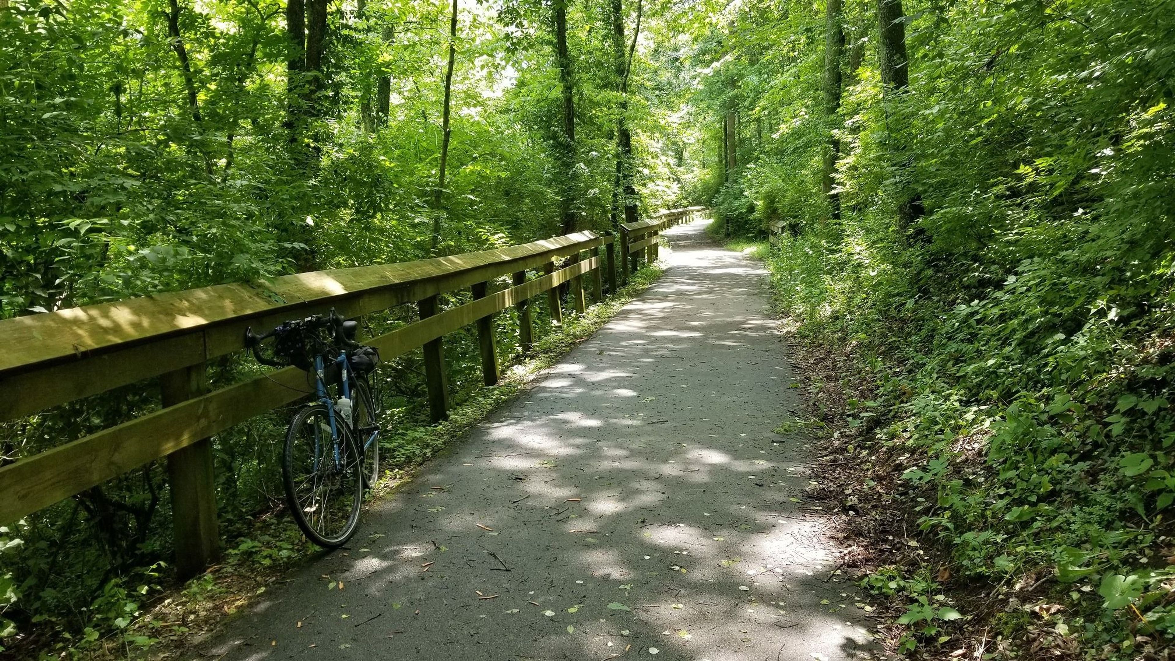 Whitewater Valley Gorge Park Trail. Photo by Greg Midgley.