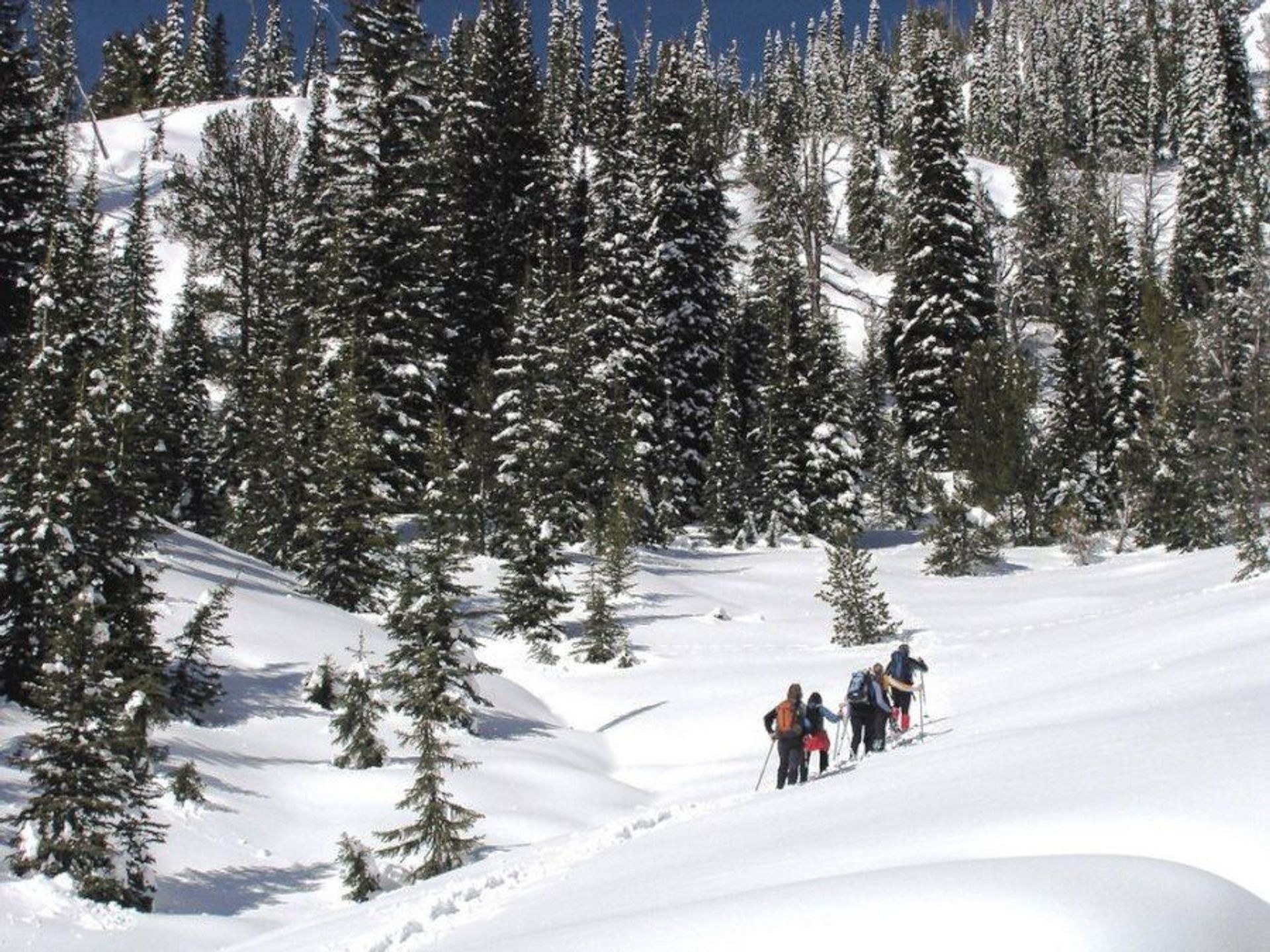 Cross country skiing at Whoop Um Up Park. Photo by USFS.