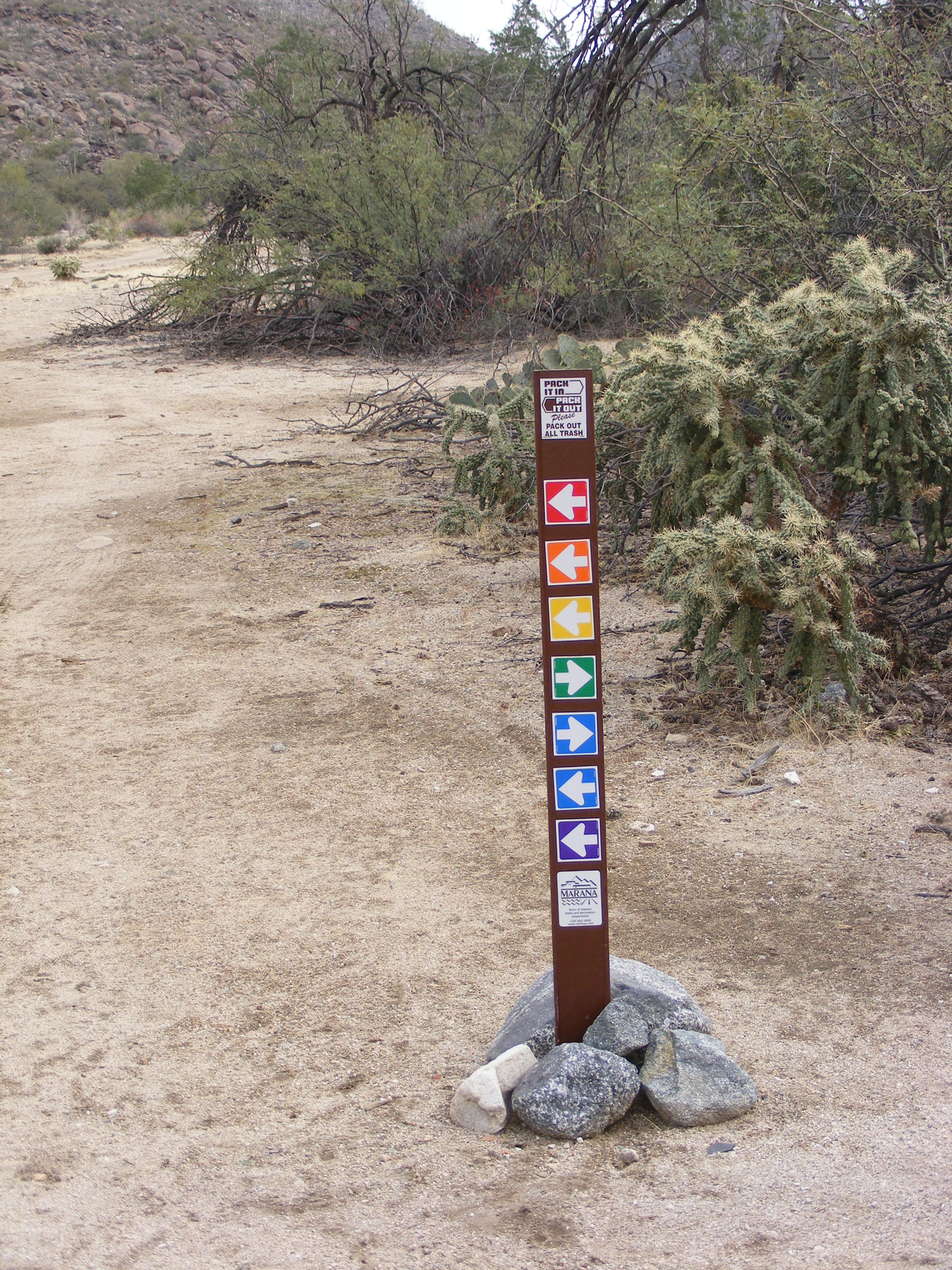 Wild Burro Trail