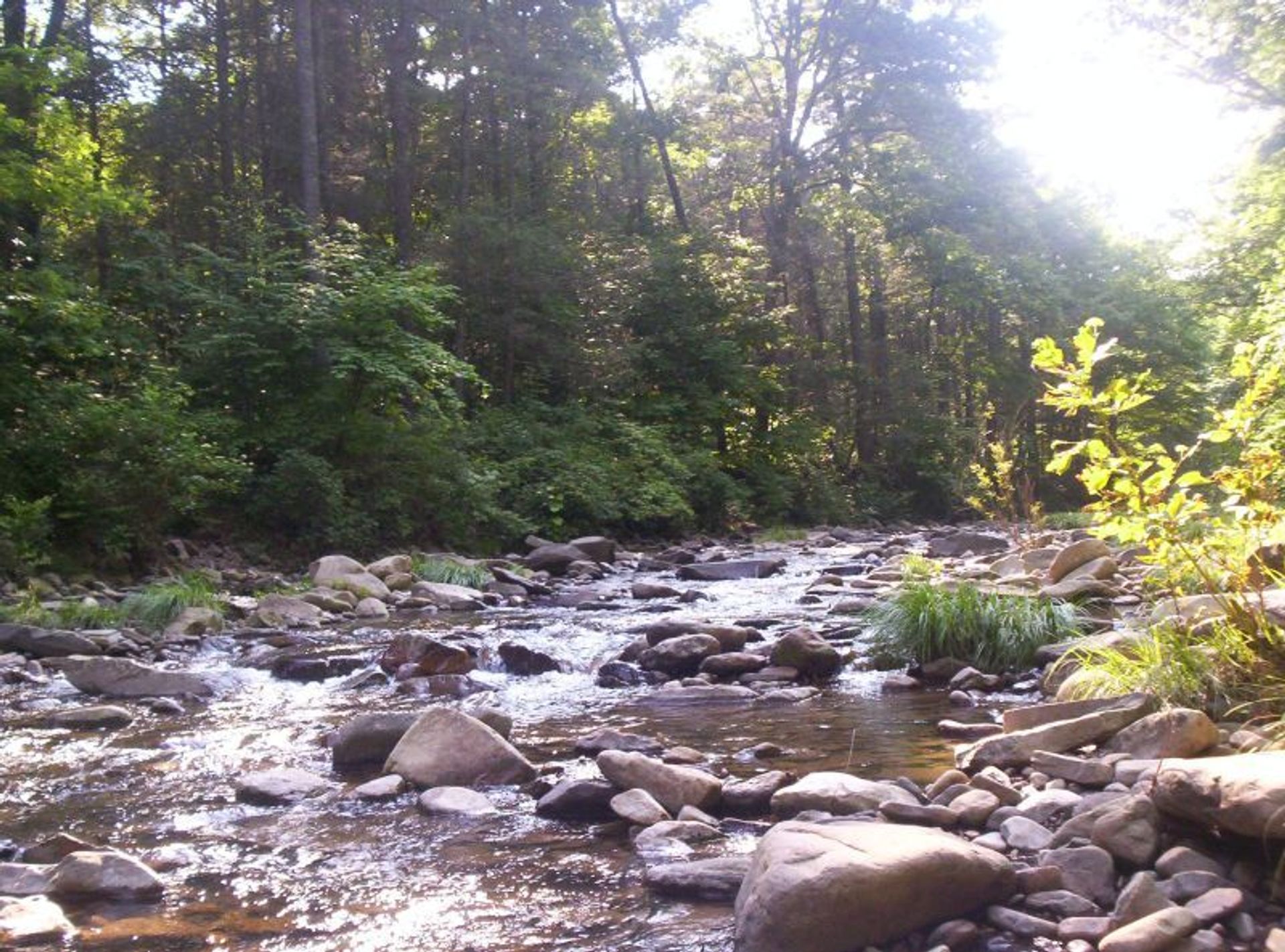 The North River, as seen from the Wild Oak Trail. Photo by Omarcheeseboro/wiki.