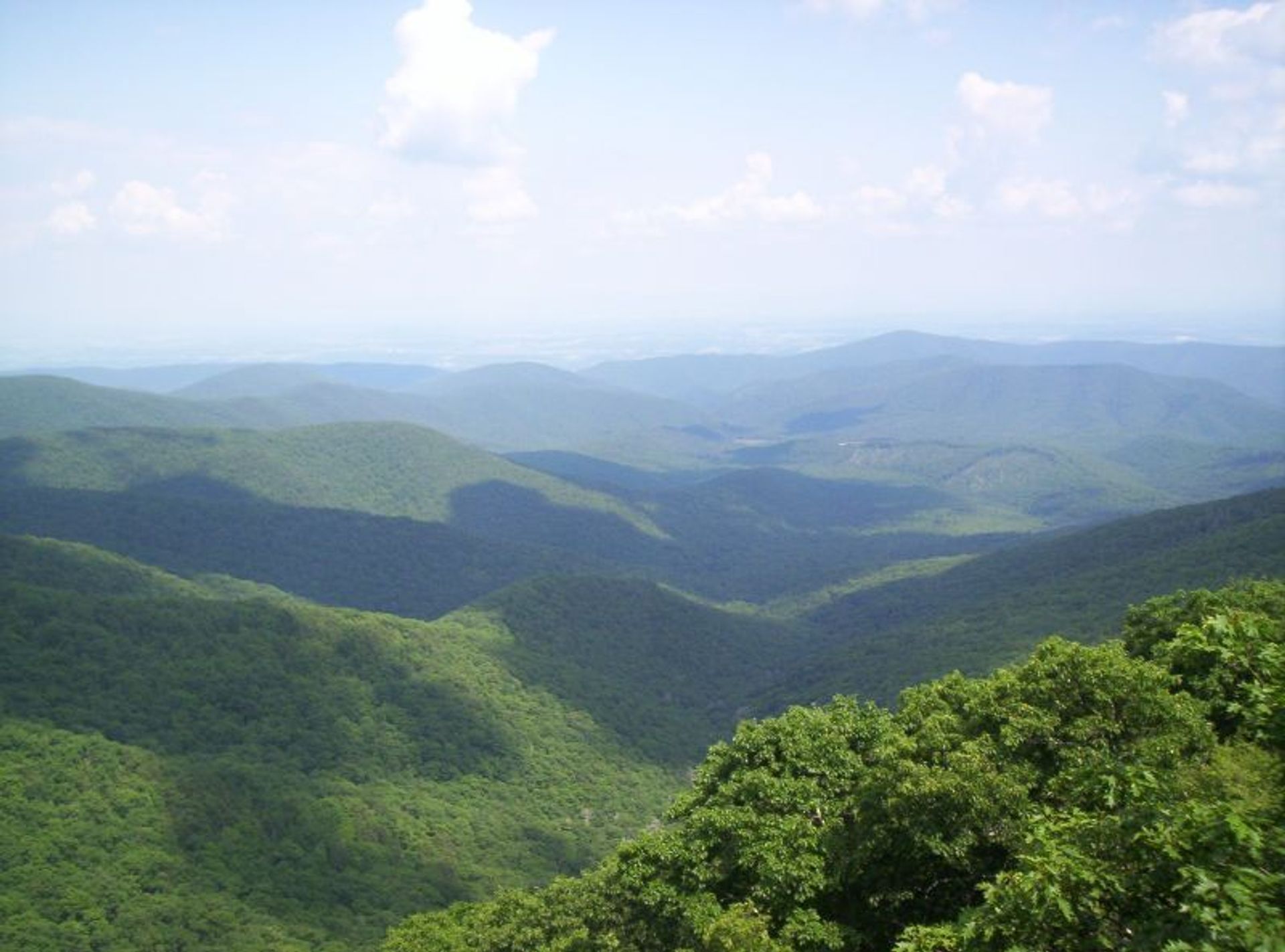 Wild Oak Trail view. Photo by Wiki.